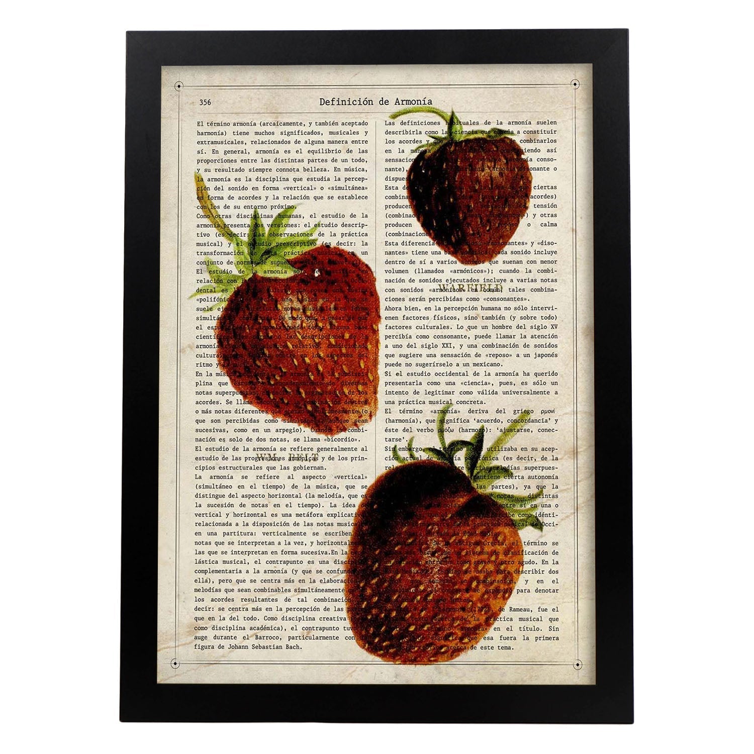 Poster de Fresones. Láminas de frutas y verduras con definiciones. Ilustraciones de alimentacion vegetariana.-Artwork-Nacnic-A3-Marco Negro-Nacnic Estudio SL