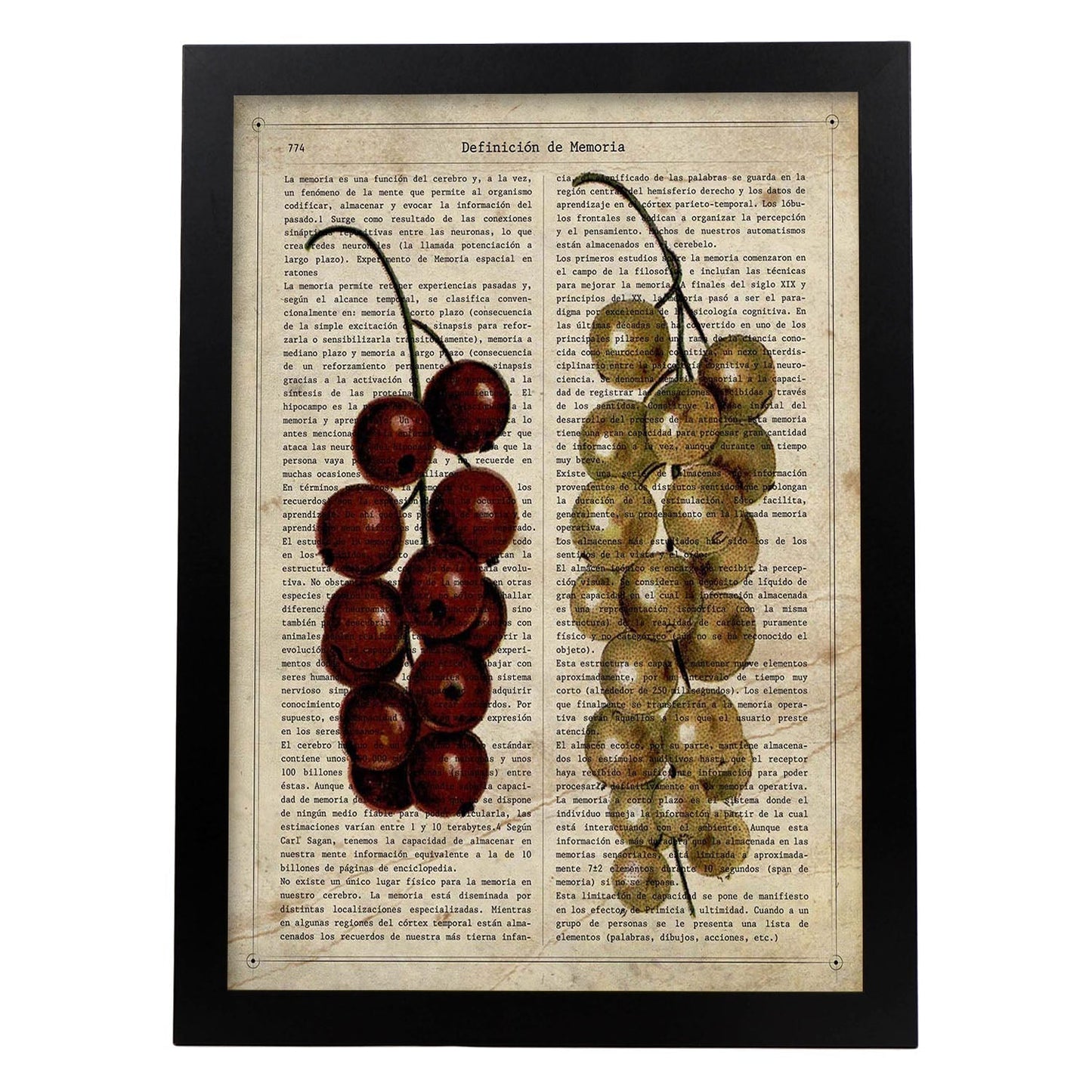 Poster de Uvas. Láminas de frutas y verduras con definiciones. Ilustraciones de alimentacion vegetariana.-Artwork-Nacnic-A3-Marco Negro-Nacnic Estudio SL