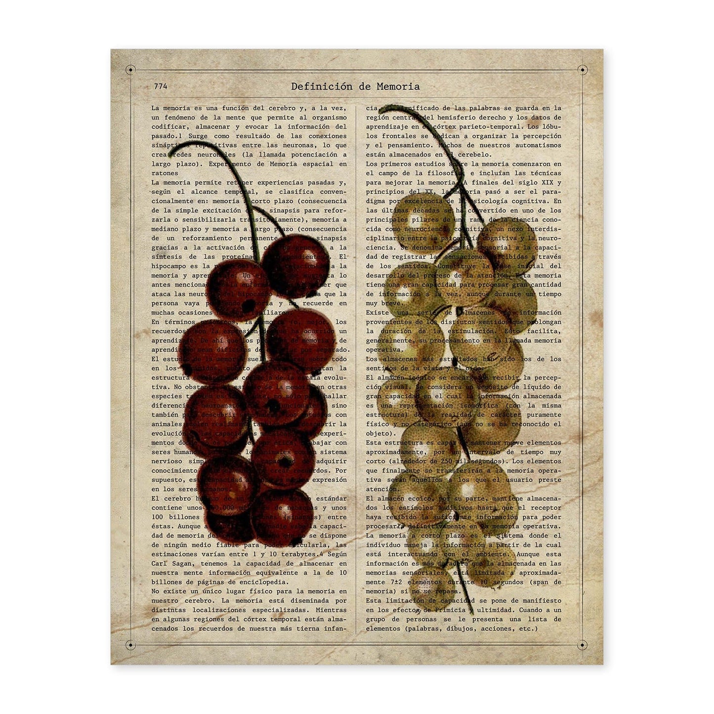 Poster de Uvas. Láminas de frutas y verduras con definiciones. Ilustraciones de alimentacion vegetariana.-Artwork-Nacnic-A4-Sin marco-Nacnic Estudio SL