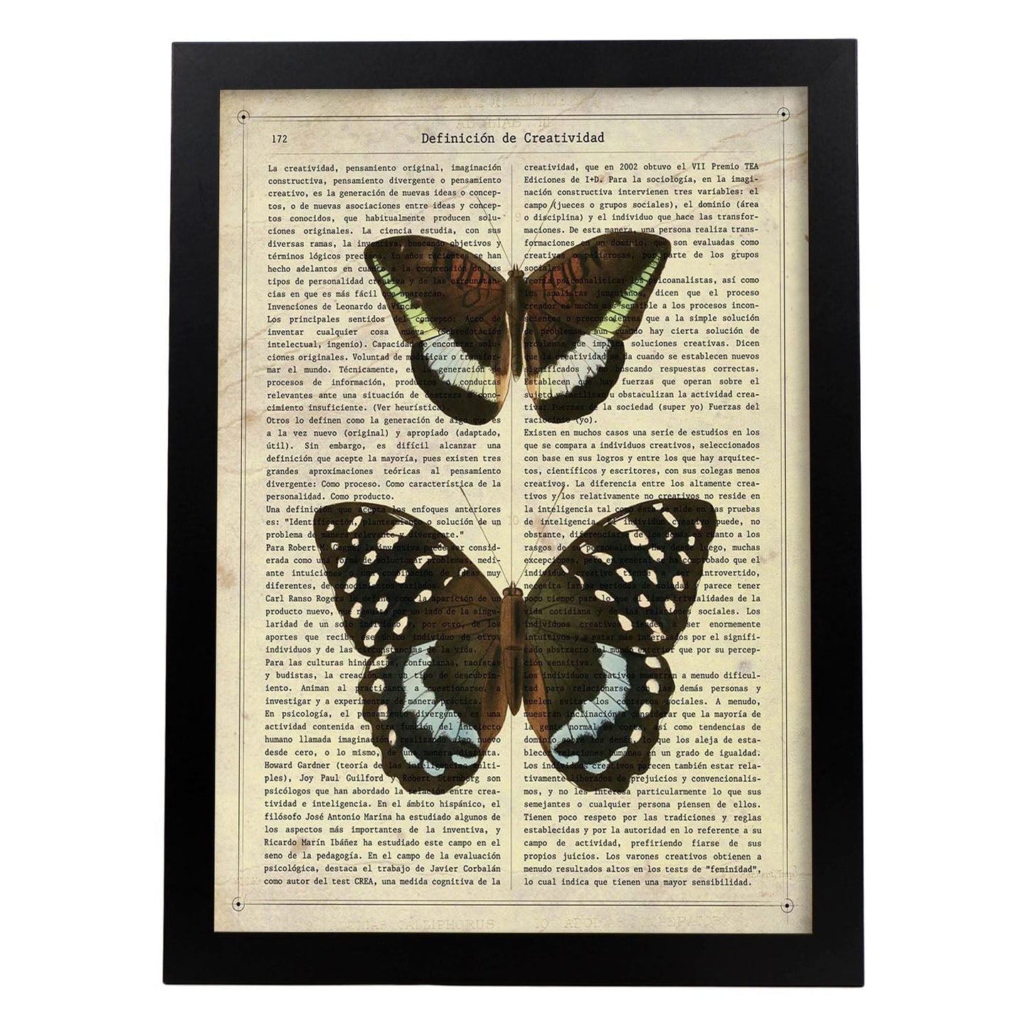 Poster de Mariposa Lexias. Láminas de mariposas. Decoración de mariposas y polillas.-Artwork-Nacnic-A3-Marco Negro-Nacnic Estudio SL