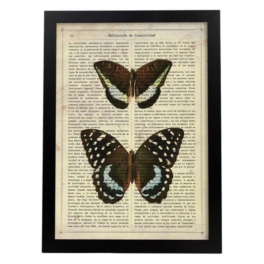 Poster de Mariposa Lexias. Láminas de mariposas. Decoración de mariposas y polillas.-Artwork-Nacnic-A4-Marco Negro-Nacnic Estudio SL