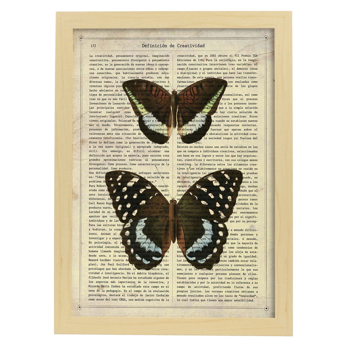 Poster de Mariposa Lexias. Láminas de mariposas. Decoración de mariposas y polillas.-Artwork-Nacnic-A4-Marco Madera clara-Nacnic Estudio SL