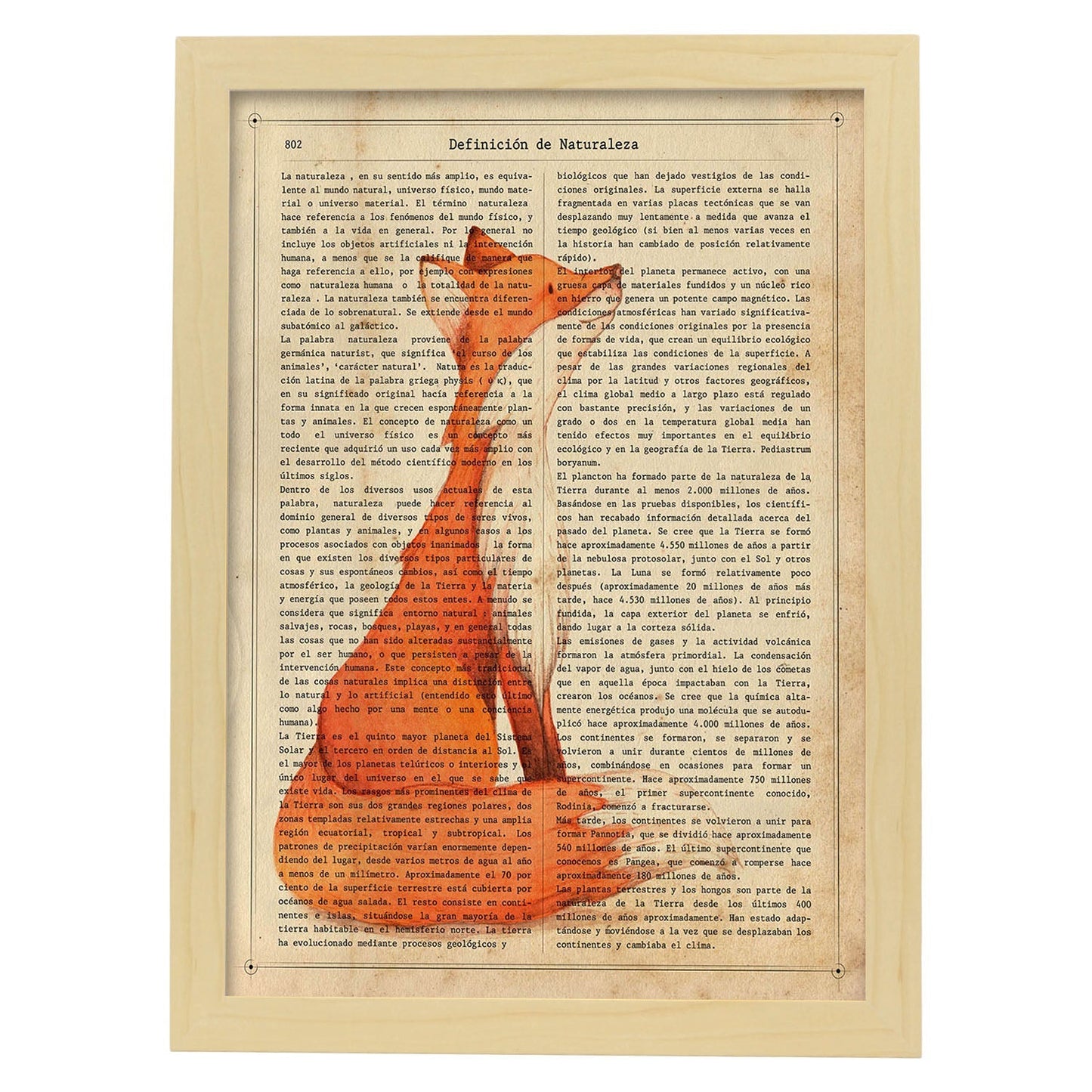 Poster de Foxy con definición. Láminas de animales con texto y definición. Diseño de interiores basado en animales.-Artwork-Nacnic-A3-Marco Madera clara-Nacnic Estudio SL
