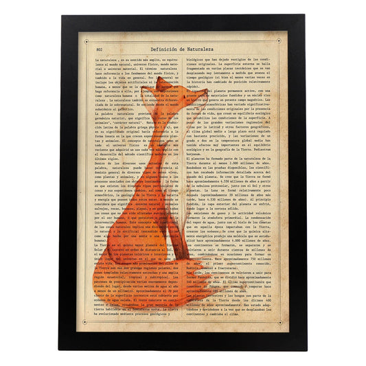 Poster de Foxy con definición. Láminas de animales con texto y definición. Diseño de interiores basado en animales.-Artwork-Nacnic-A4-Marco Negro-Nacnic Estudio SL