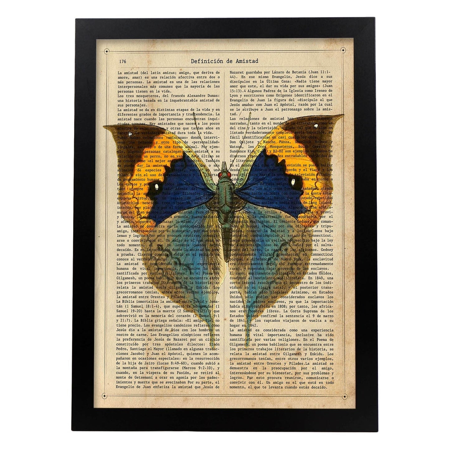 Poster de Mariposa Style con definición. Láminas de animales con texto y definición. Diseño de interiores basado en animales.-Artwork-Nacnic-A4-Marco Negro-Nacnic Estudio SL