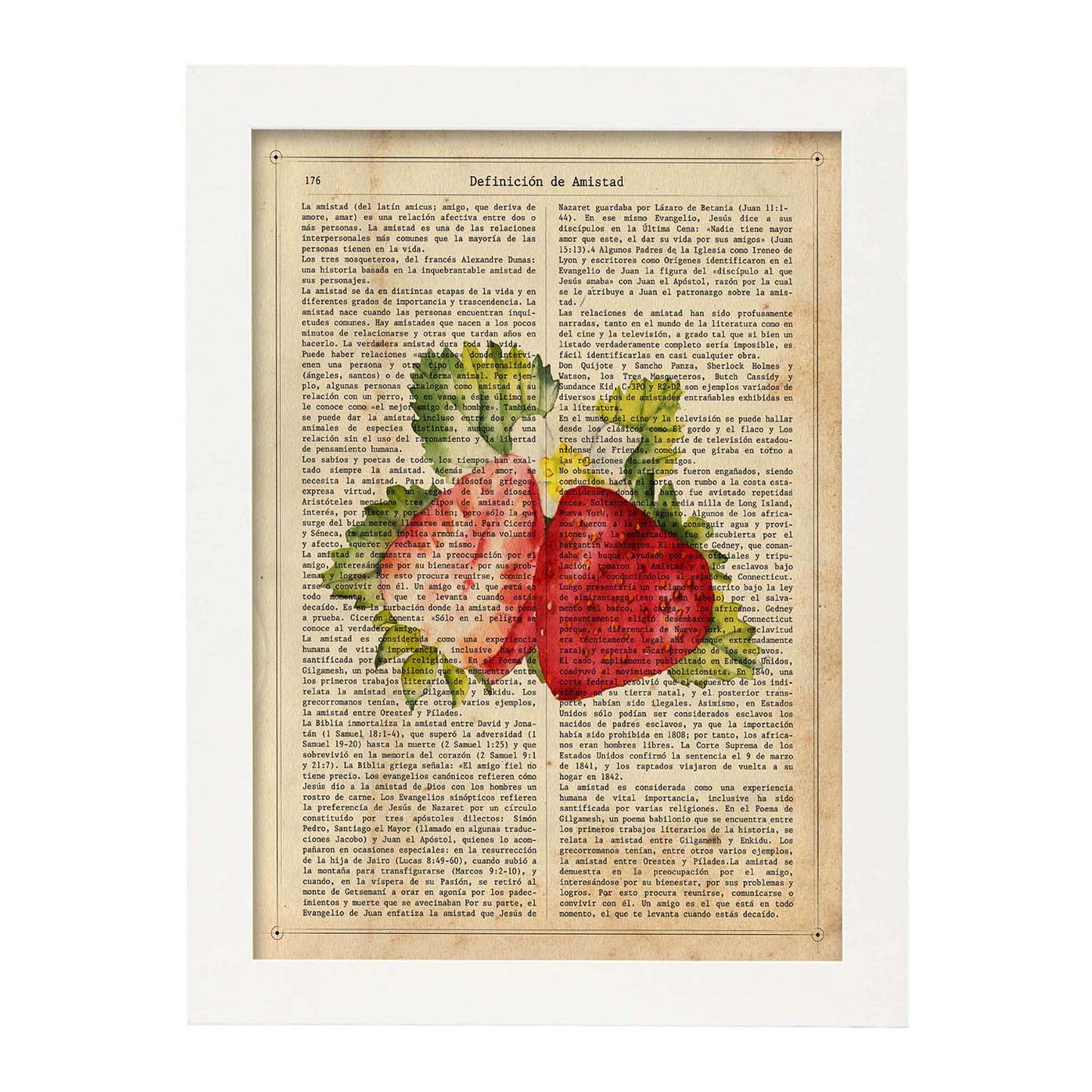 Posters de frutas con texto. Lámina Fresa Abierta con imágenes de alimentación saludable con definiciones.-Artwork-Nacnic-A3-Marco Blanco-Nacnic Estudio SL