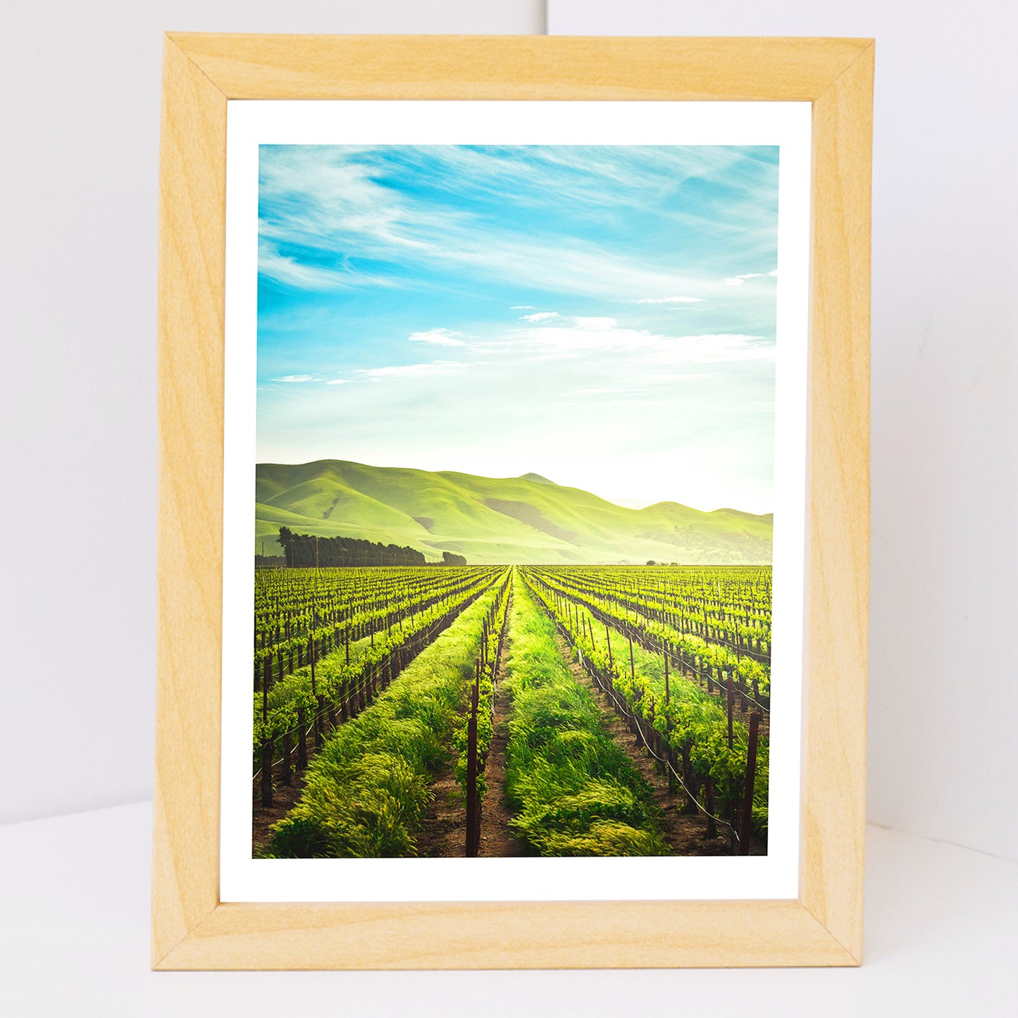 Set de 3 Cuadros de Viñedo Italiano Impresión Ilustración Arte de Pared Decoración en Estilo Fotográfico Moderno para Cocina, Bodega, Bar, Despensa, Comedor, Restaurante