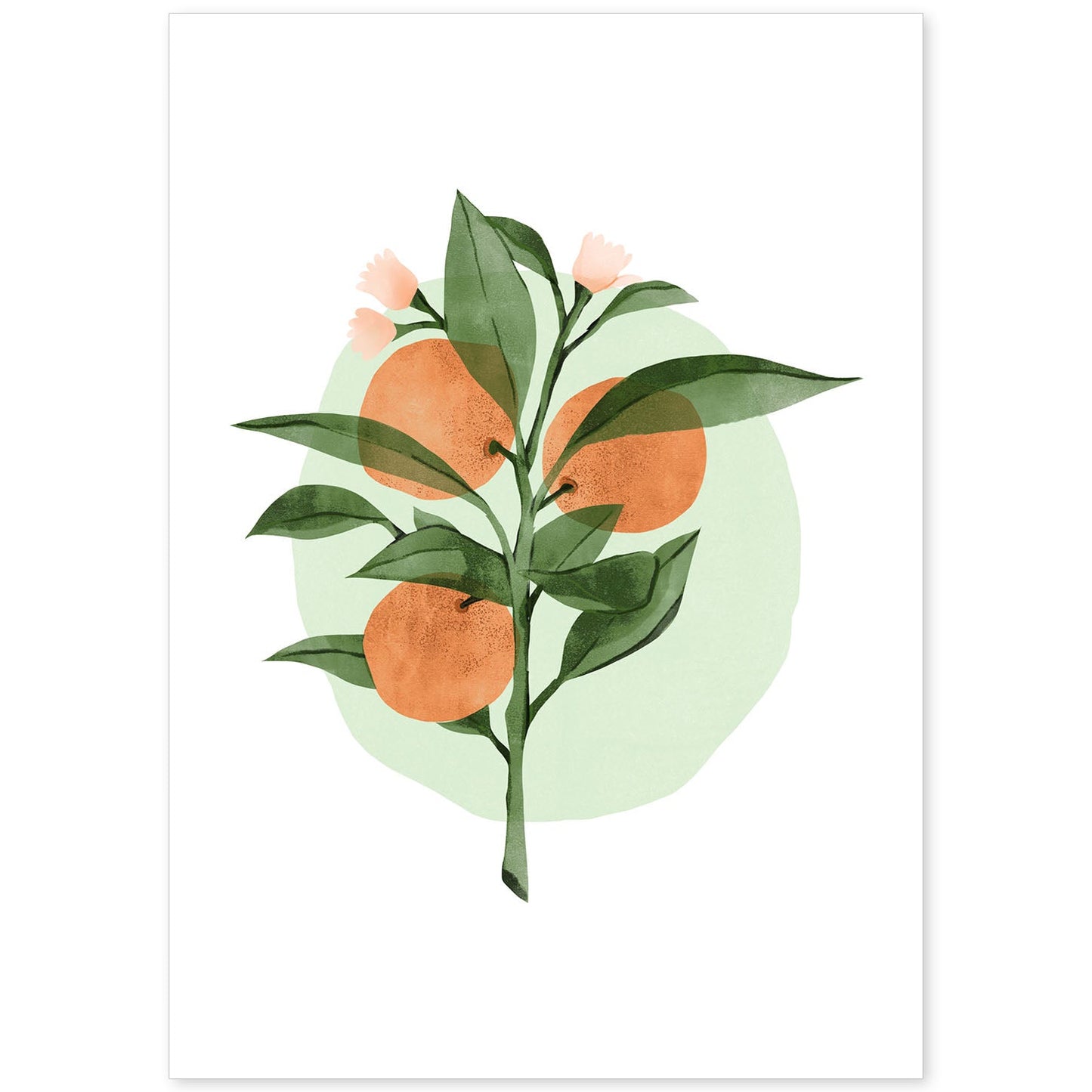 Lámina Botánica acuarela 7. Pósters con ilustraciones de plantas y flores en estilo acuarela.-Artwork-Nacnic-A4-Sin marco-Nacnic Estudio SL