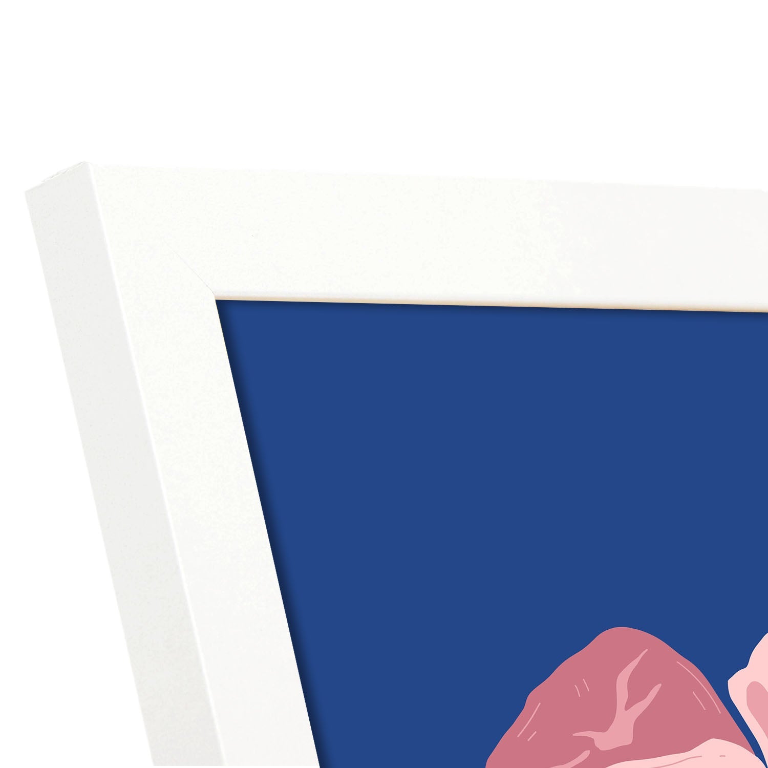 Raw Chicken Drumsticks-Artwork-Nacnic-Nacnic Estudio SL