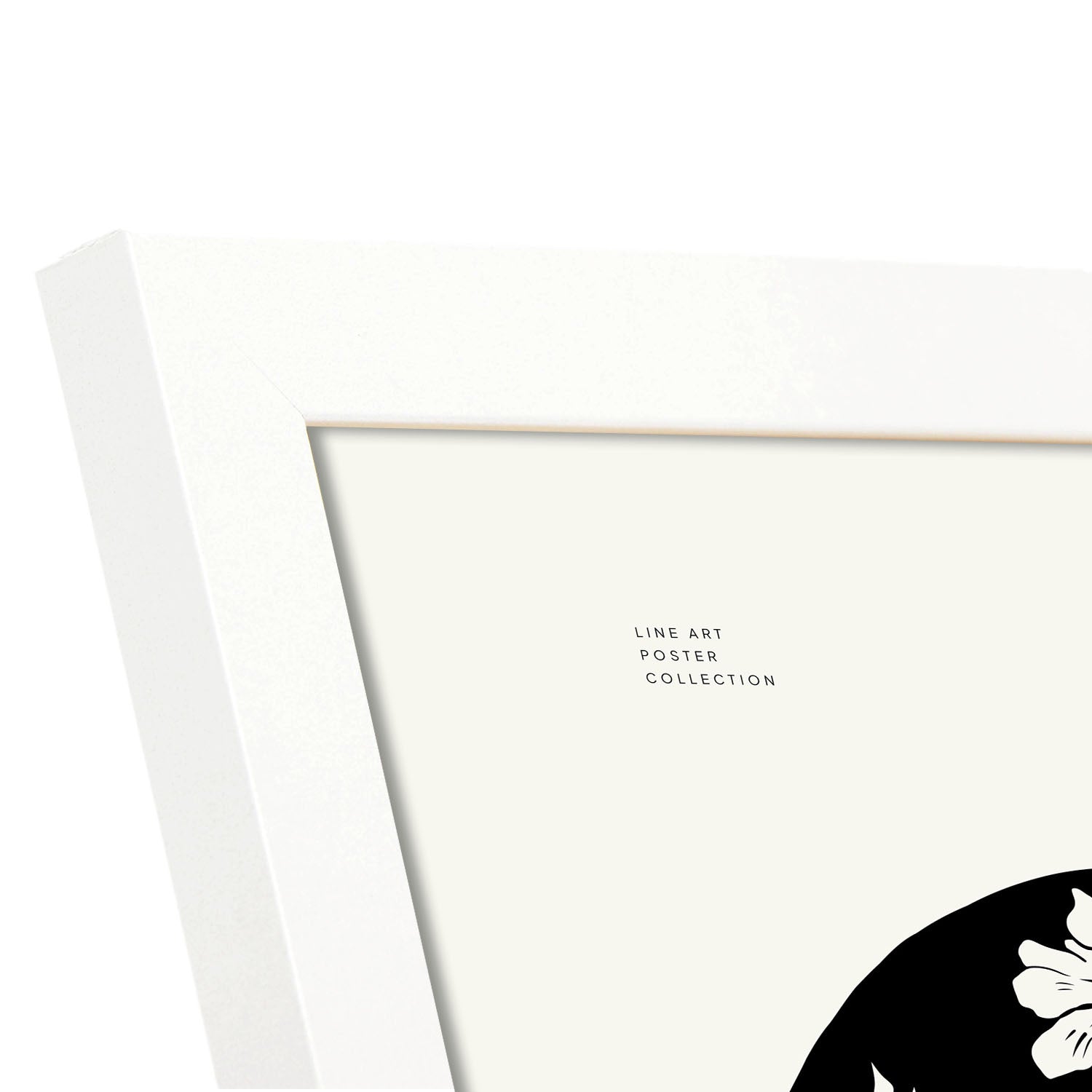 Balsam-Artwork-Nacnic-Nacnic Estudio SL