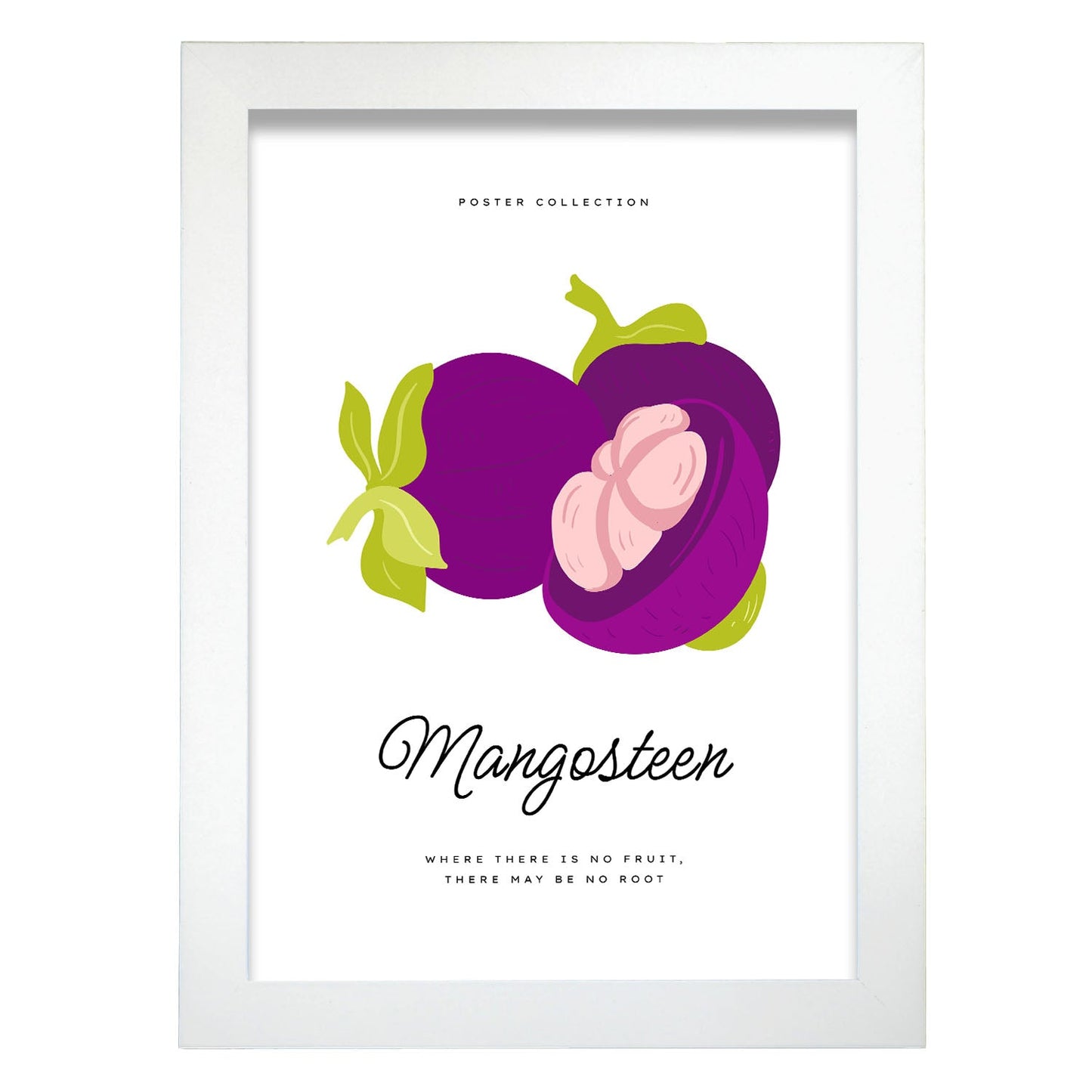 Mangosteen-Artwork-Nacnic-A4-Marco Blanco-Nacnic Estudio SL