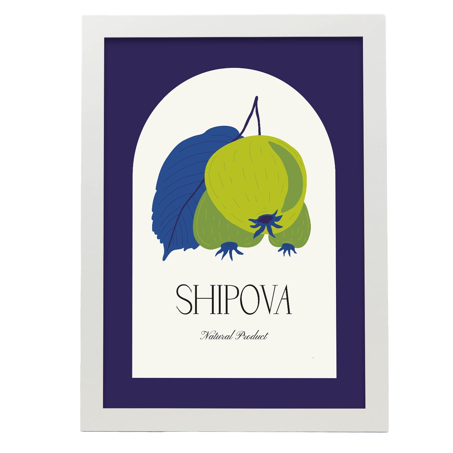 Shipova-Artwork-Nacnic-A3-Marco Blanco-Nacnic Estudio SL