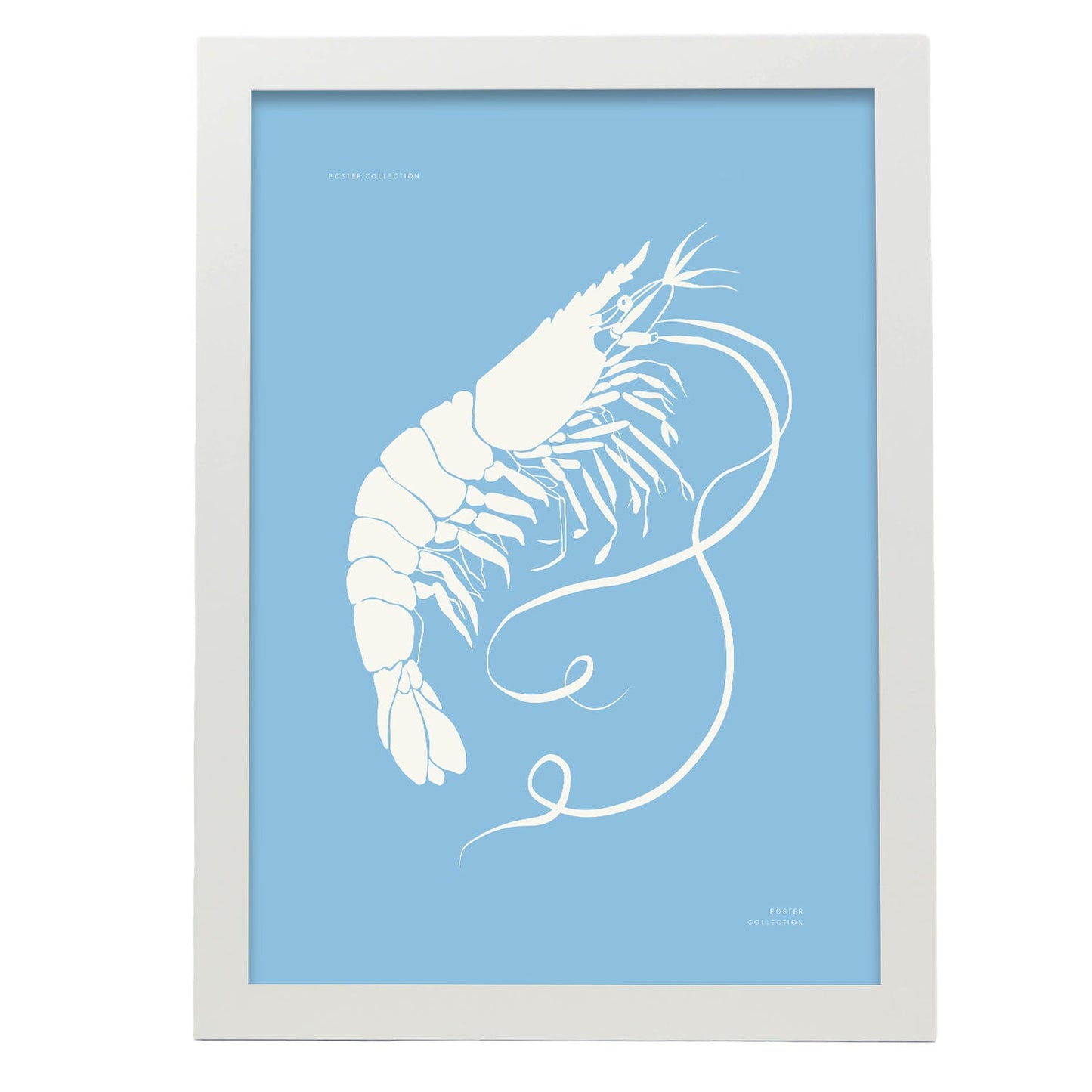 Prawn-Artwork-Nacnic-A3-Marco Blanco-Nacnic Estudio SL