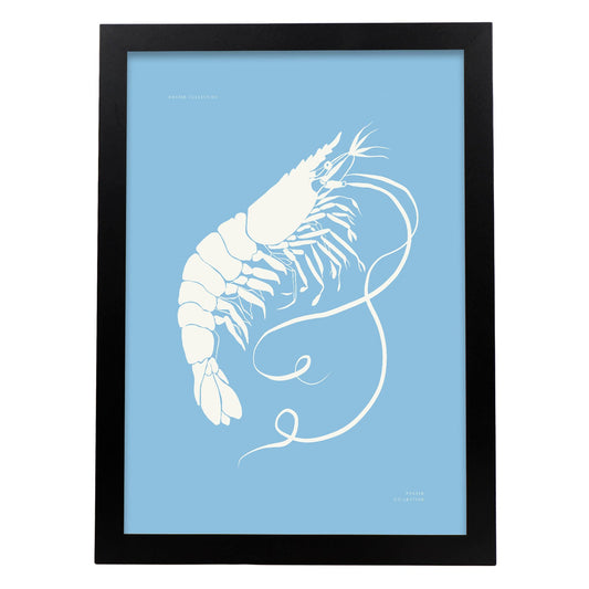 Prawn-Artwork-Nacnic-A3-Sin marco-Nacnic Estudio SL