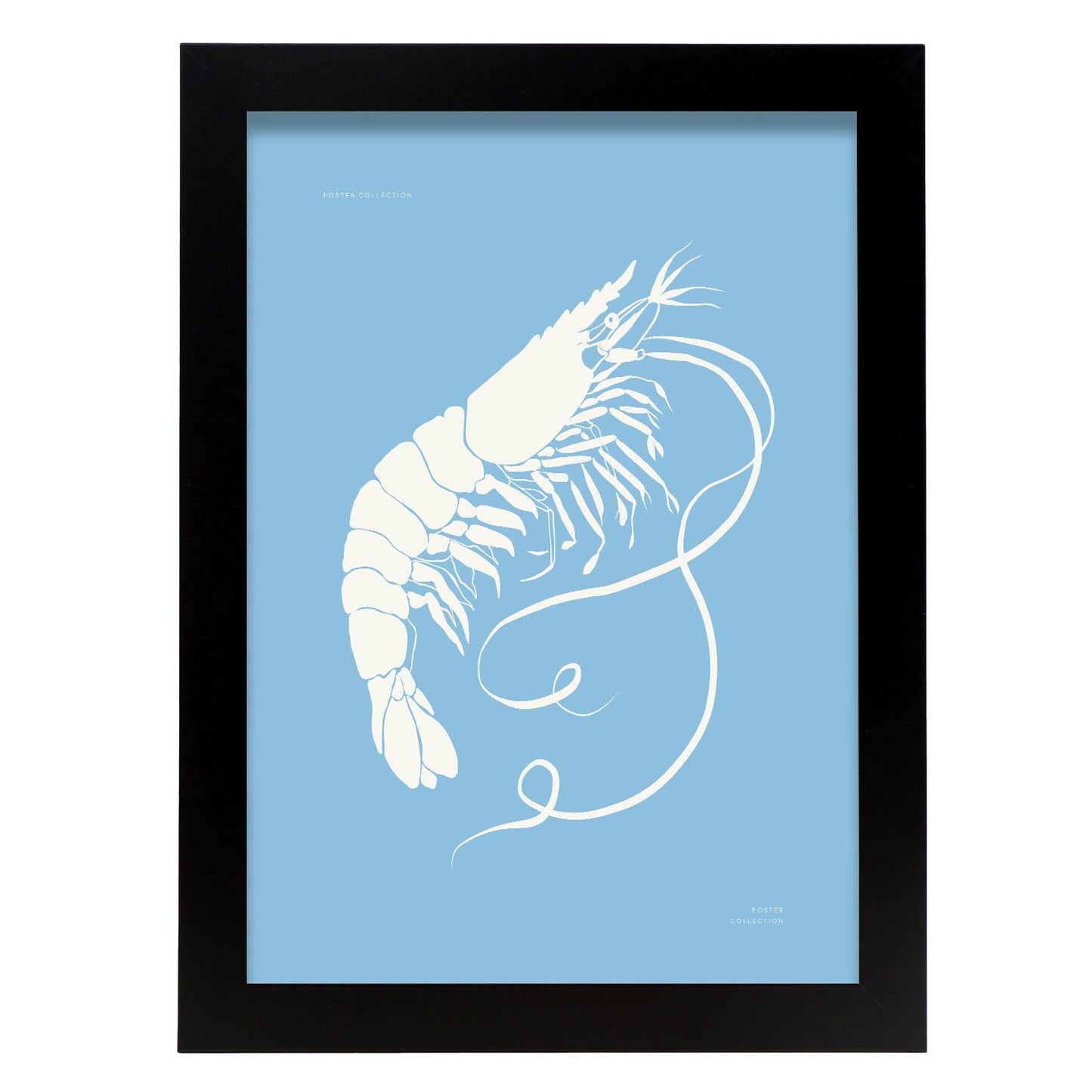 Prawn-Artwork-Nacnic-A4-Sin marco-Nacnic Estudio SL
