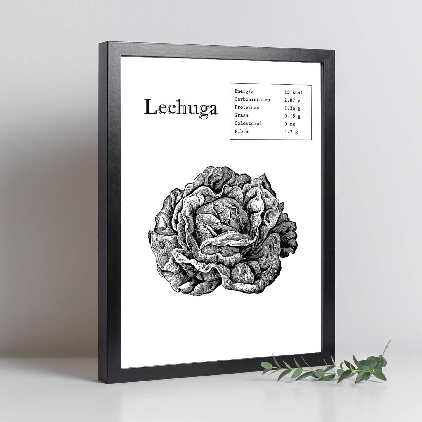 Poster de Lechuga. Láminas de frutas y verduras.-Artwork-Nacnic-Nacnic Estudio SL