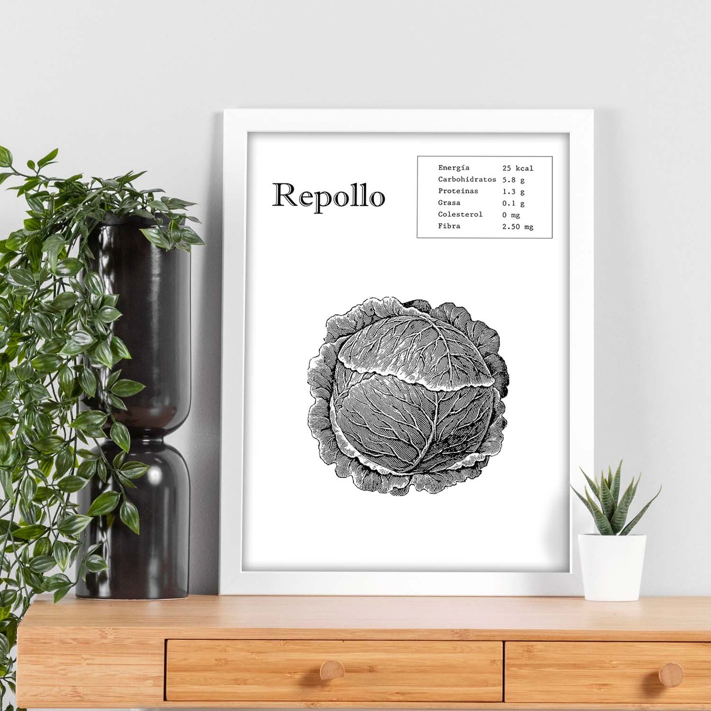 Poster de Repollo. Láminas de frutas y verduras.-Artwork-Nacnic-Nacnic Estudio SL