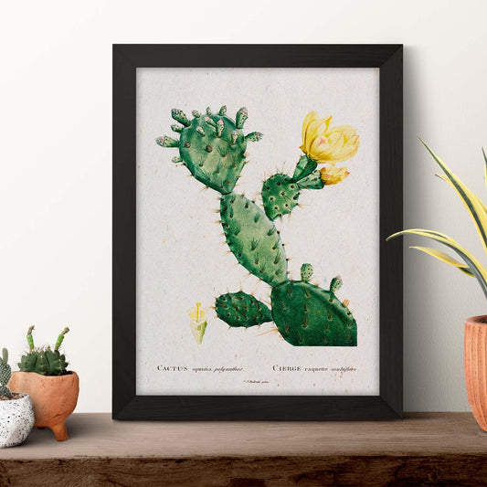 Lámina Naturaleza - 002. Pósters con ilustraciones en acuarela de Pierre-Joseph Redouté.-Artwork-Nacnic-Nacnic Estudio SL