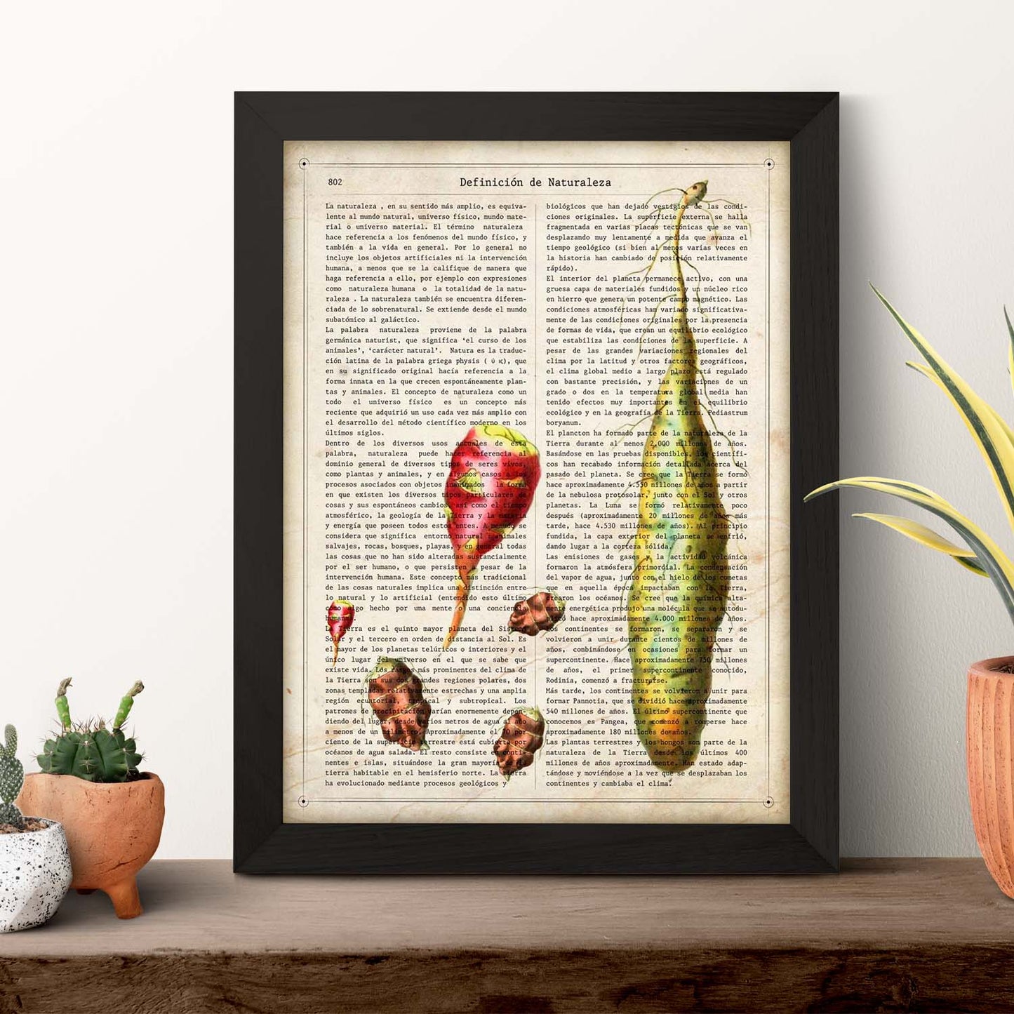 Poster de Patatas. Láminas de frutas y verduras con definiciones. Ilustraciones de alimentacion vegetariana.-Artwork-Nacnic-Nacnic Estudio SL