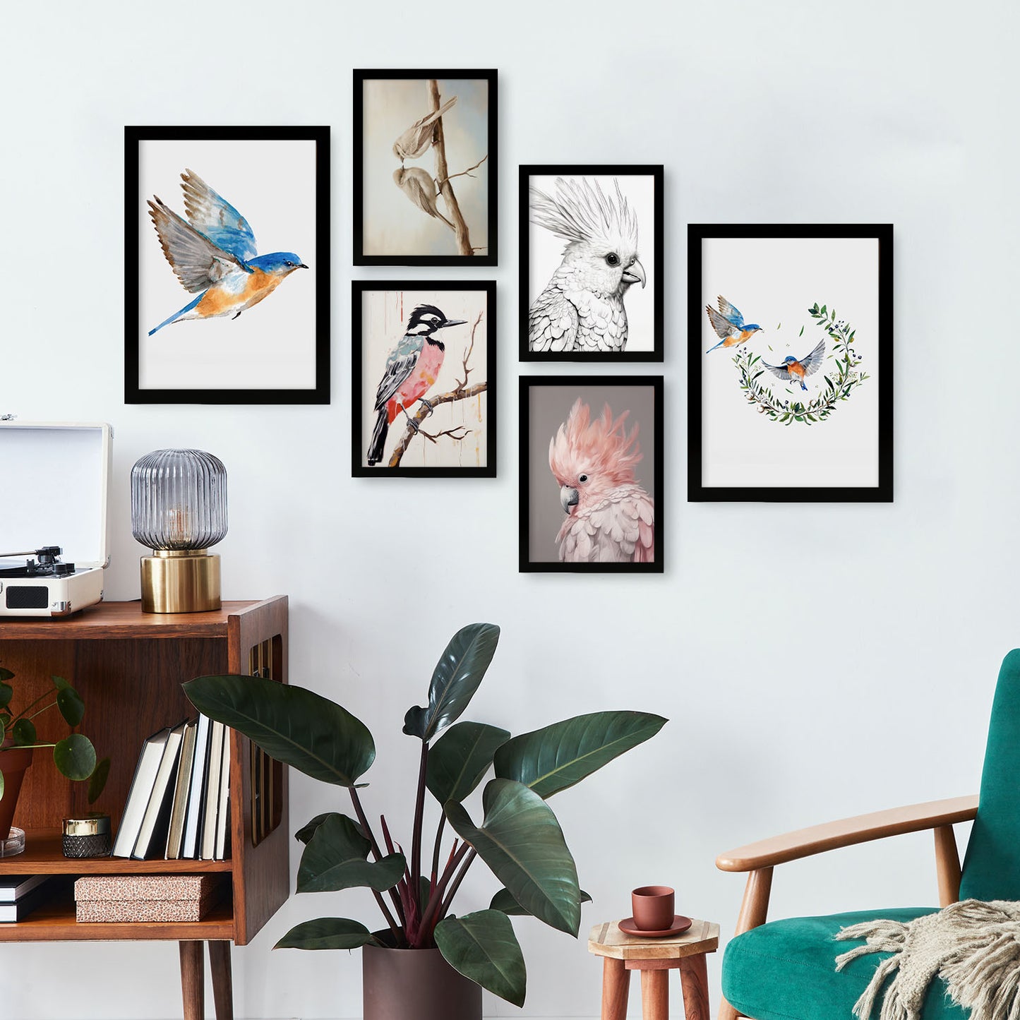 Nacnic Set de 6 Laminas de Colecciones de Aves