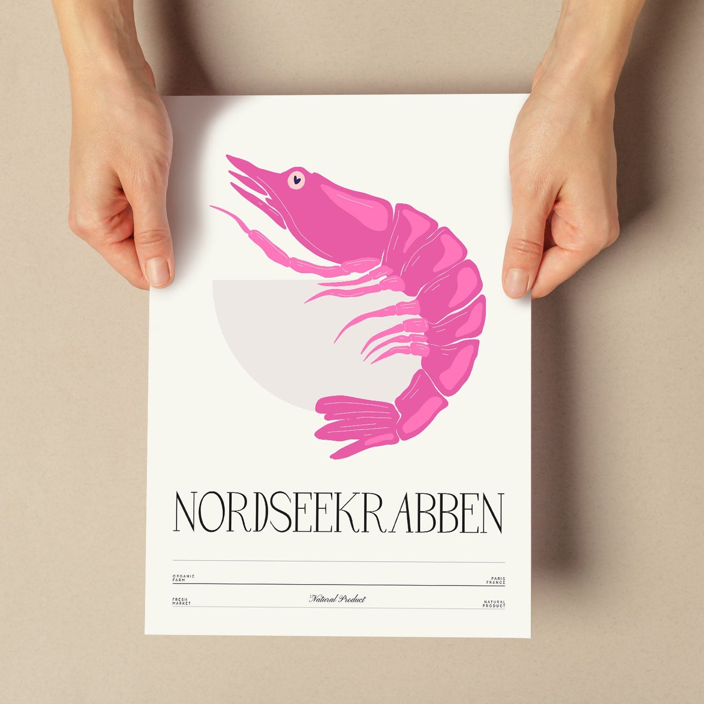 North Sea Shrimp-Artwork-Nacnic-Nacnic Estudio SL