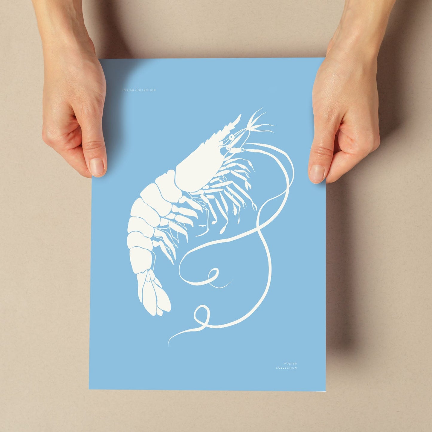 Prawn-Artwork-Nacnic-Nacnic Estudio SL