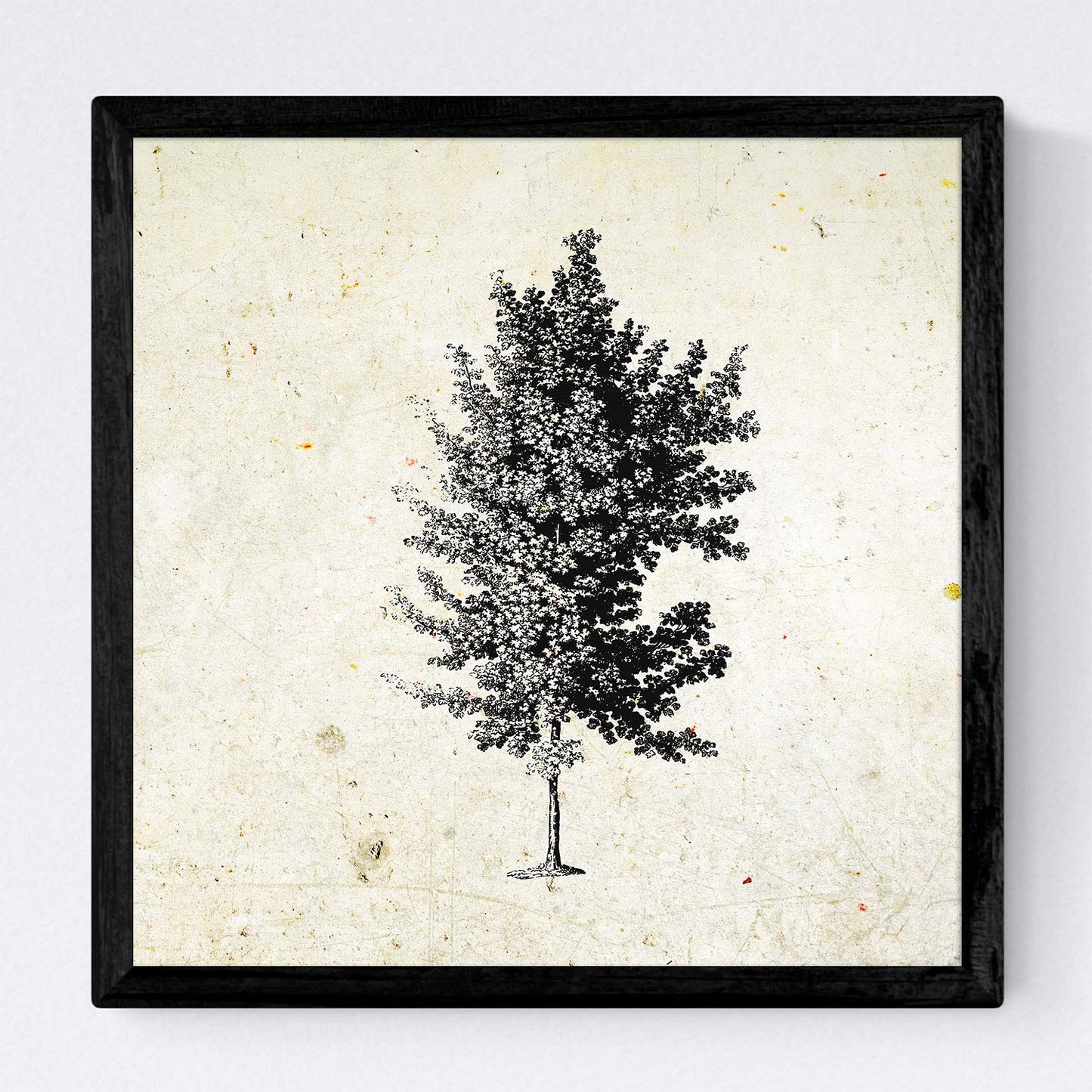 Set de cuatro láminas de arboles. Arboles diferente estructura en cm, fondo papel antiguo vintage .-Artwork-Nacnic-Nacnic Estudio SL