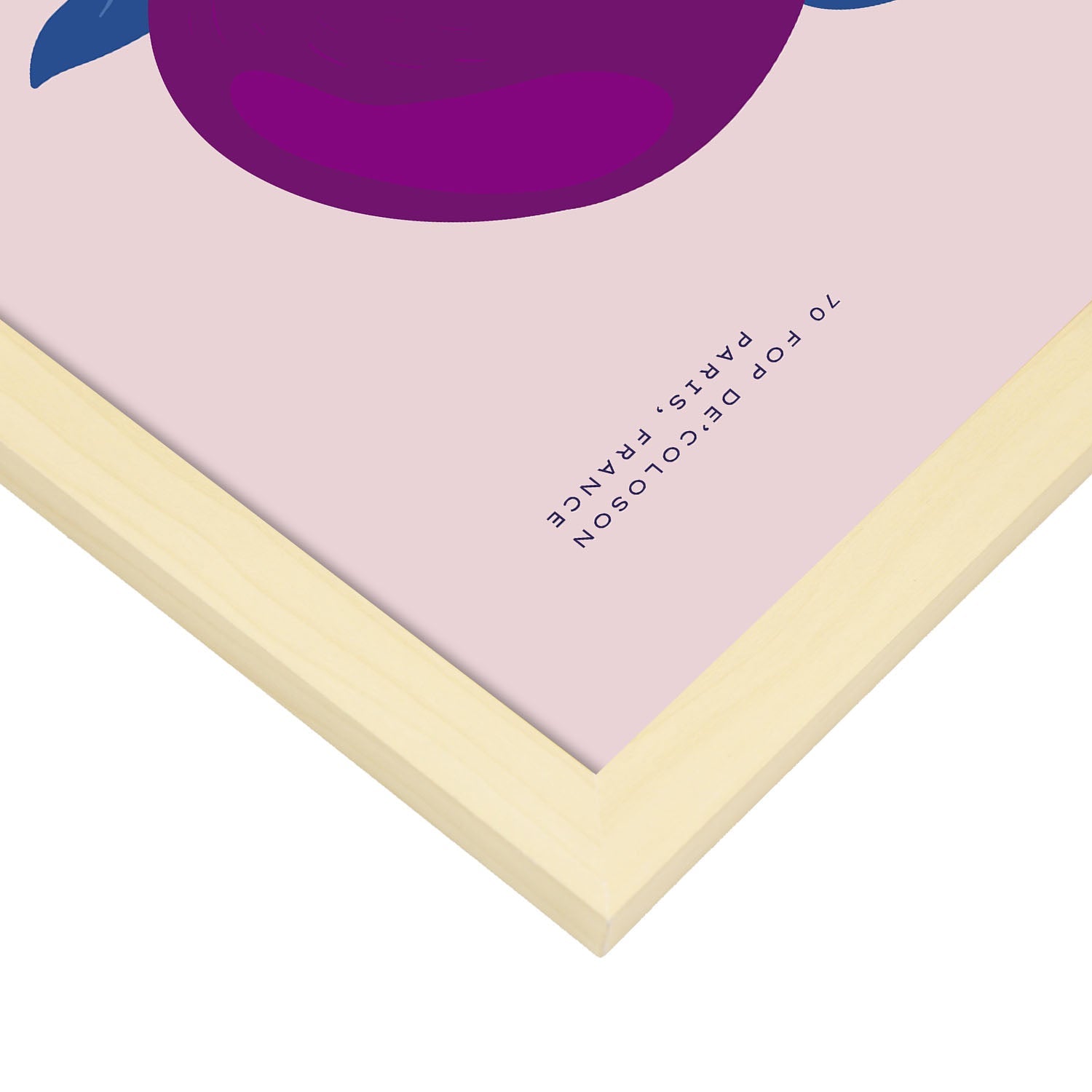 Passion Fruit-Artwork-Nacnic-Nacnic Estudio SL