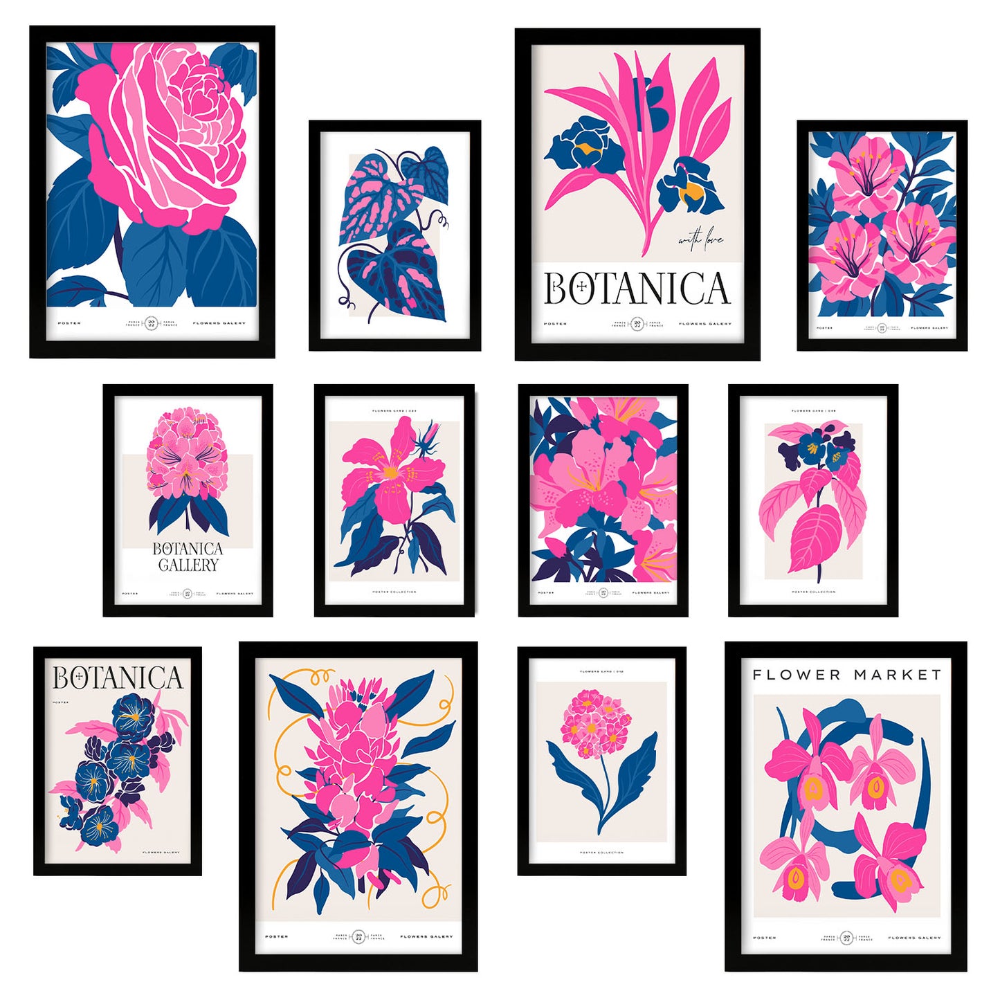 Conjunto de 12 Láminas Botánicas Elegantes con Marco de Color