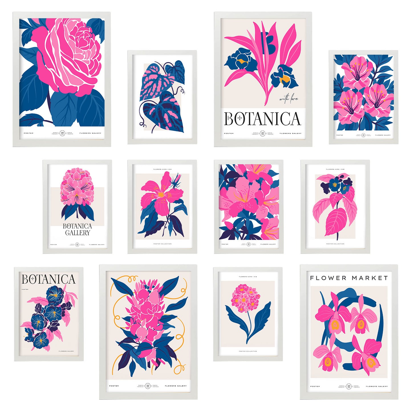 Conjunto de 12 Láminas Botánicas Elegantes con Marco de Color