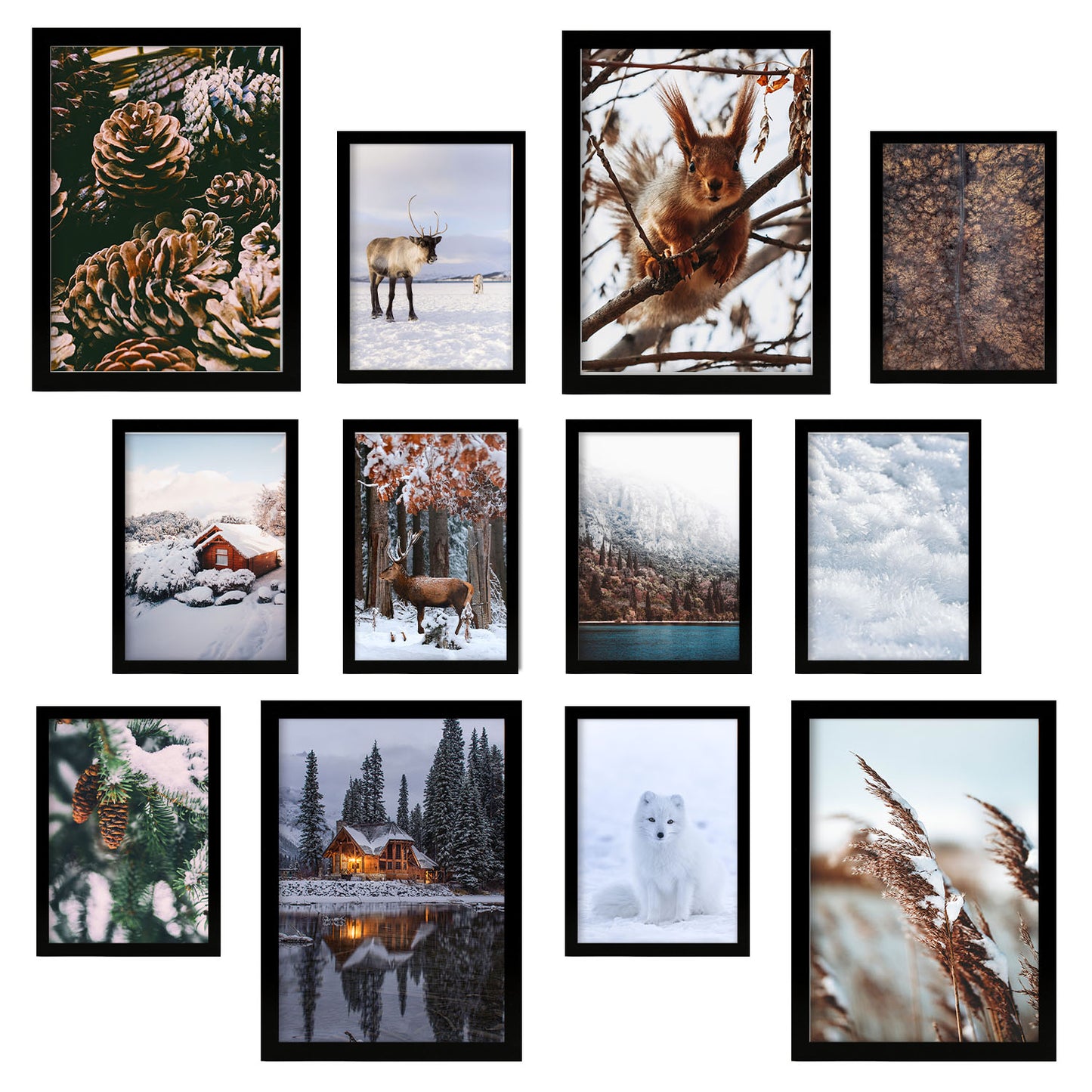 Impresiones fotográficas Winter Wonderland
