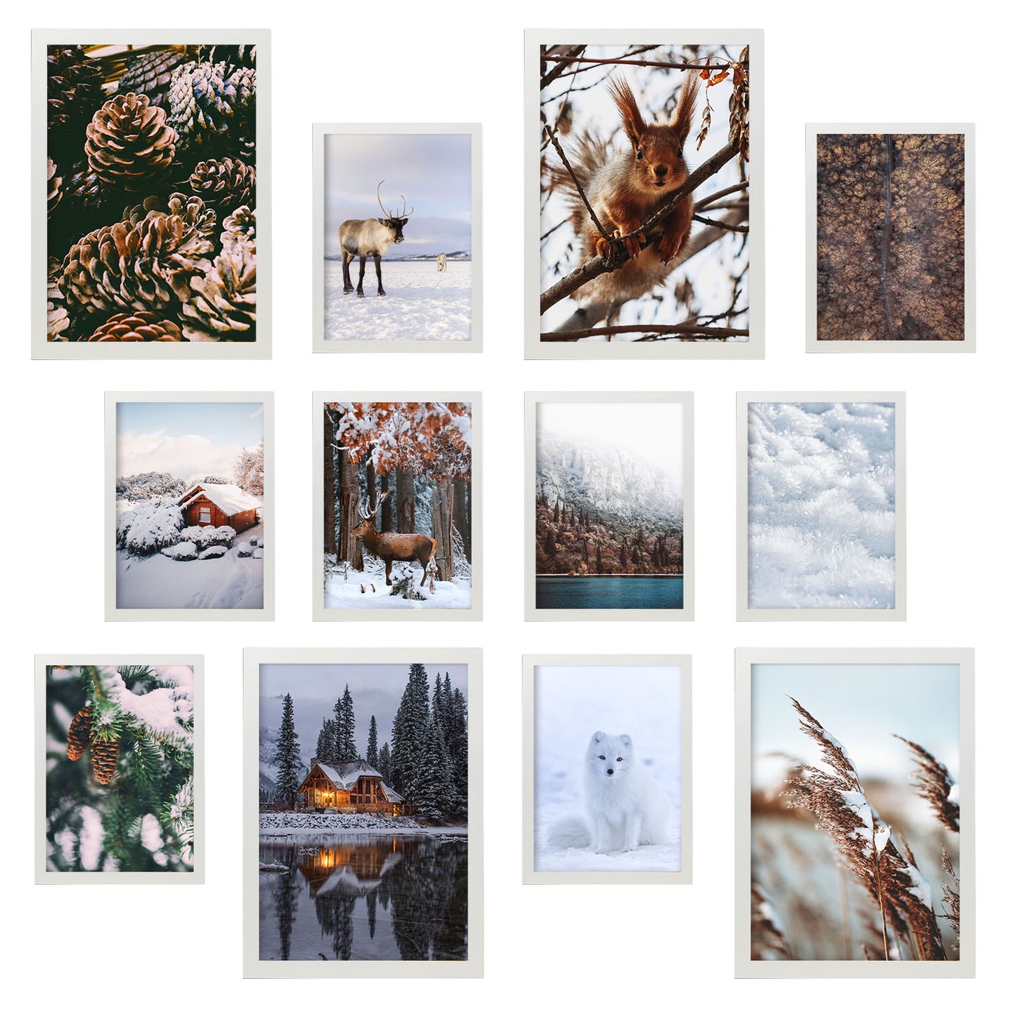 Impresiones fotográficas Winter Wonderland