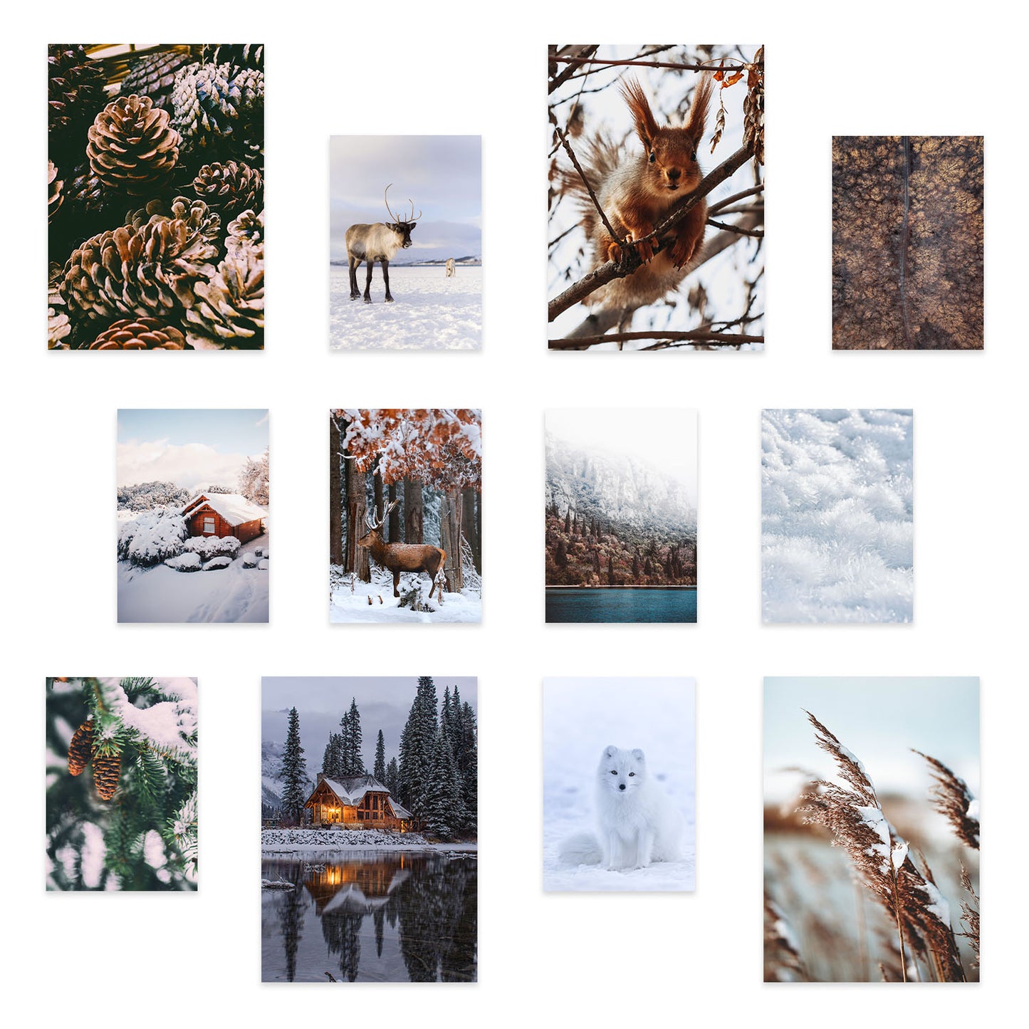 Impresiones fotográficas Winter Wonderland