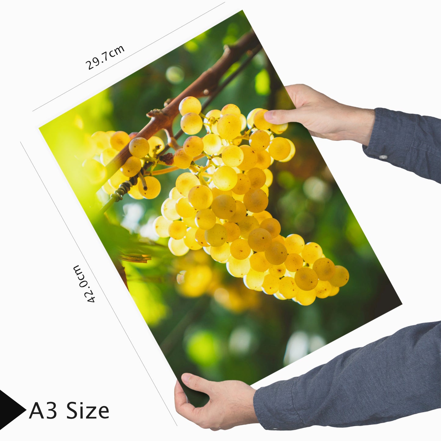 Set de 3 Cuadros de Uvas de Viñedo y Corcho Ilustración impresa en estilo Fotográfico para decorar Cocina, Despensa, Cortijo, Comedor, Restaurante