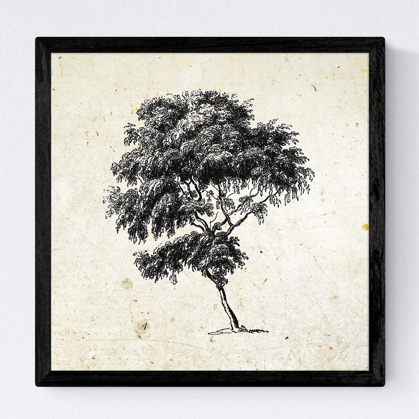 Set de cuatro láminas de arboles. Arboles diferente estructura en cm, fondo papel antiguo vintage .-Artwork-Nacnic-Nacnic Estudio SL