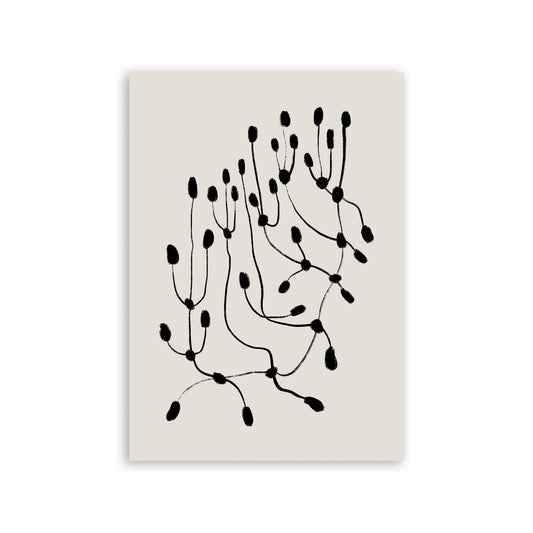 Lamina Nacnic Conectividad de Puntos 2