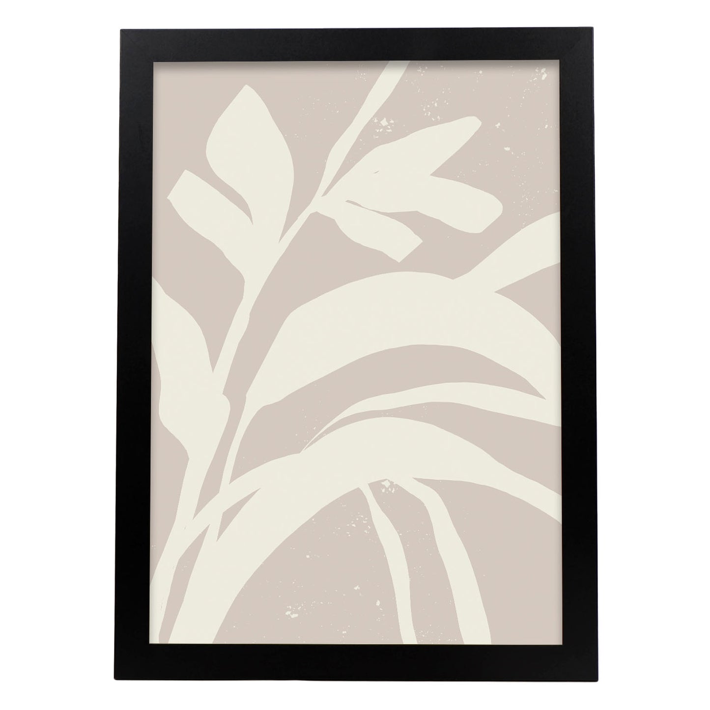 Lamina Abstracta Nacnic Planta Sombria