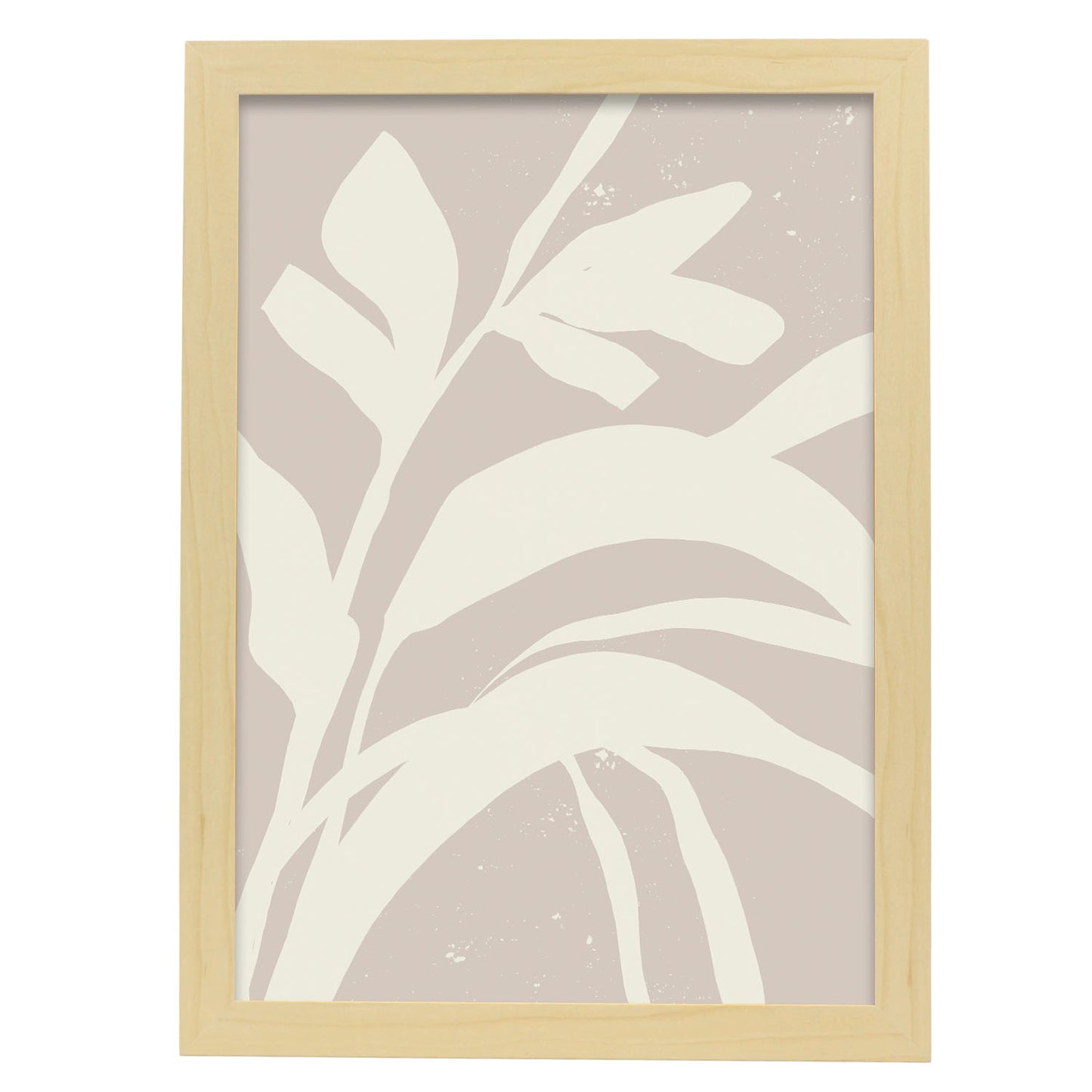 Lamina Abstracta Nacnic Planta Sombria