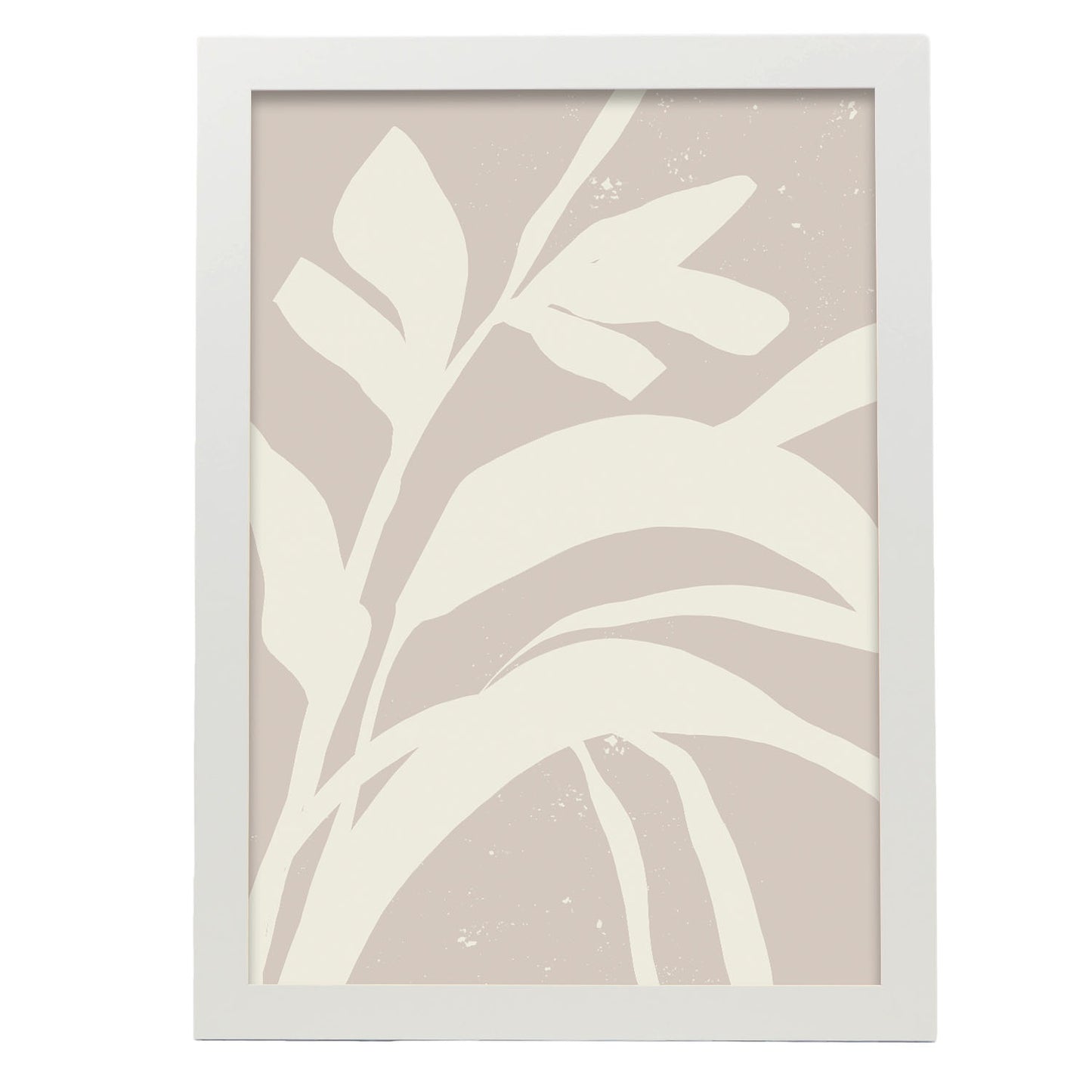 Lamina Abstracta Nacnic Planta Sombria