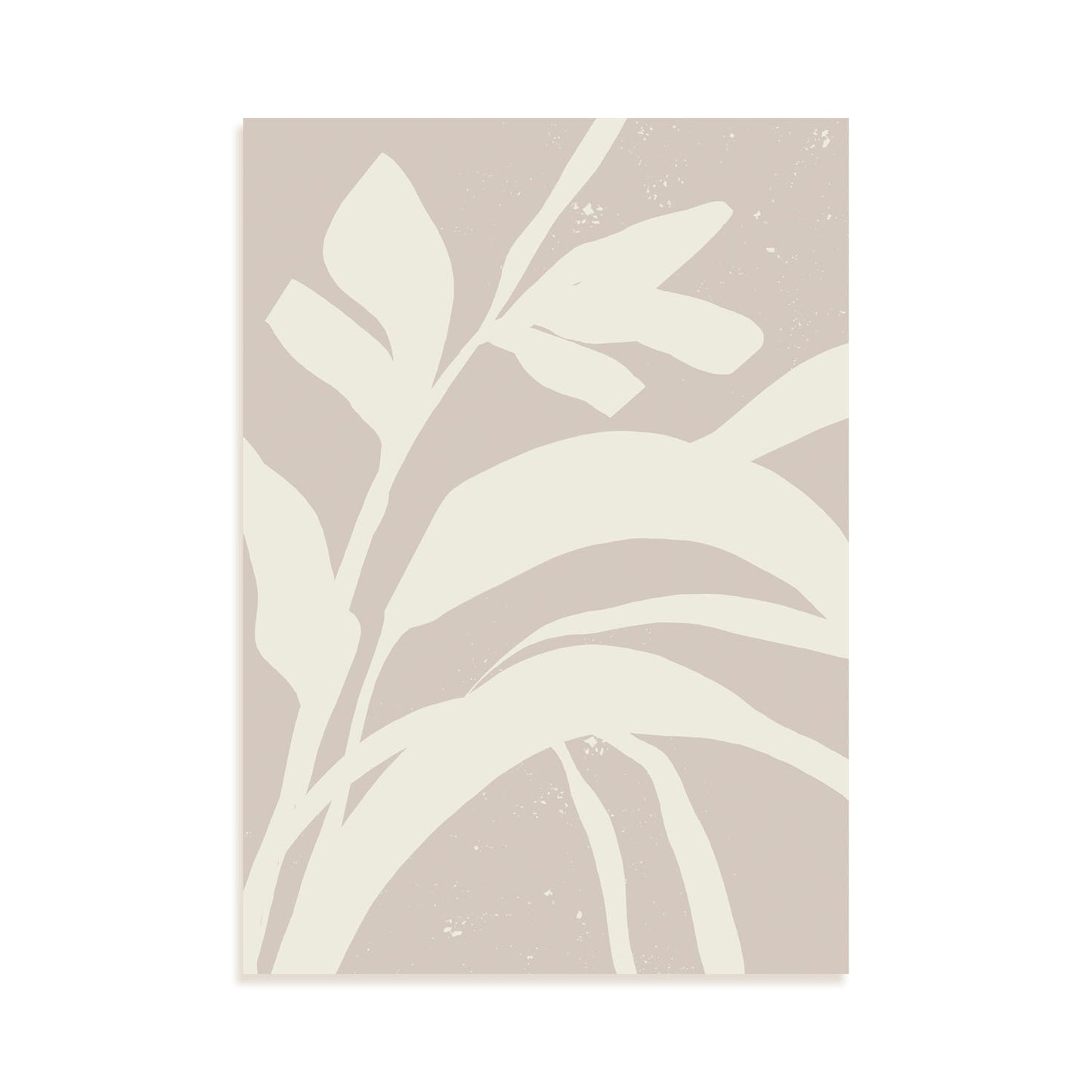 Lamina Abstracta Nacnic Planta Sombria