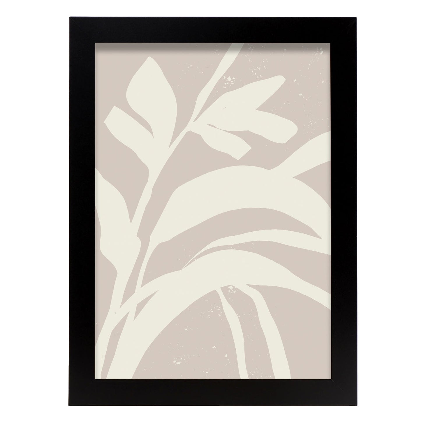 Lamina Abstracta Nacnic Planta Sombria