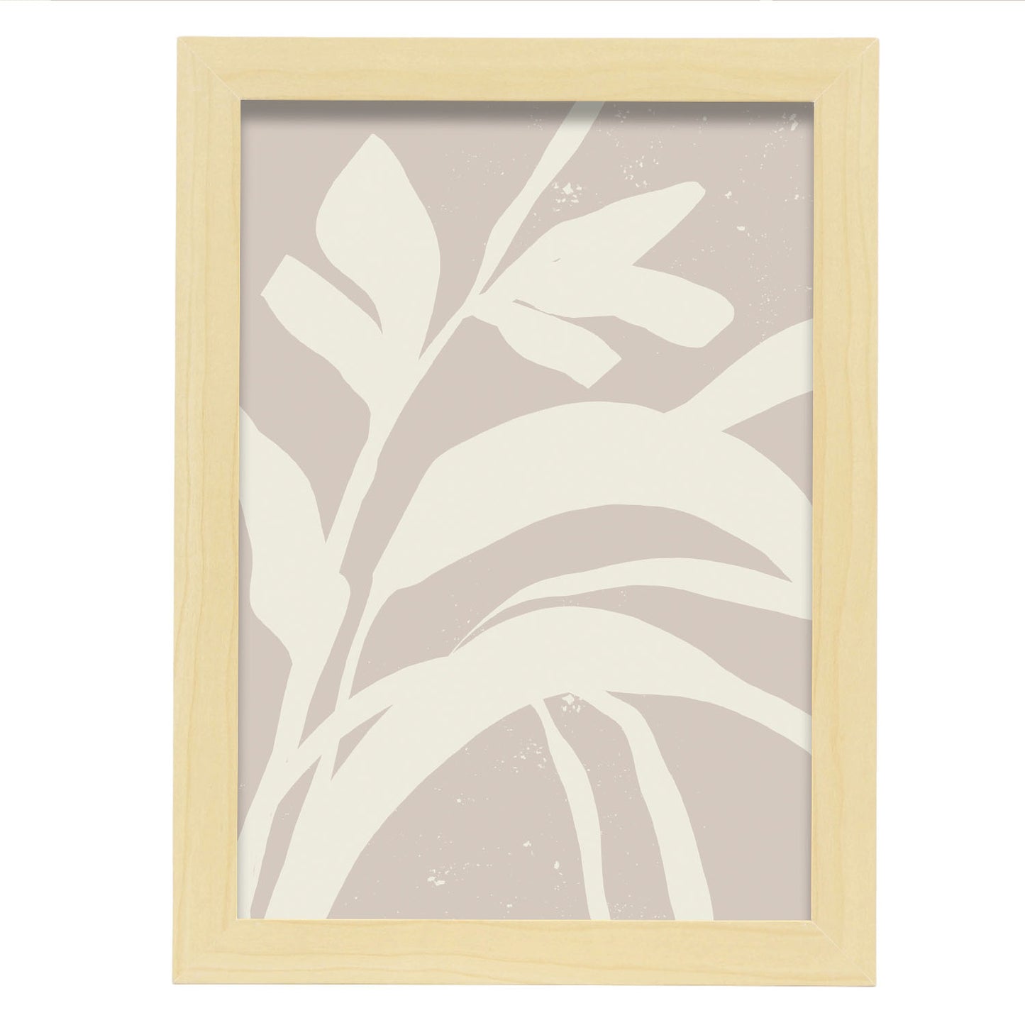 Lamina Abstracta Nacnic Planta Sombria