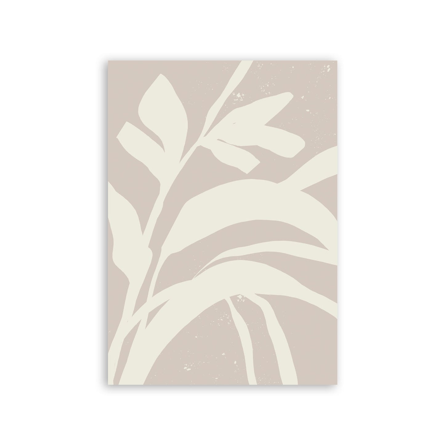 Lamina Abstracta Nacnic Planta Sombria
