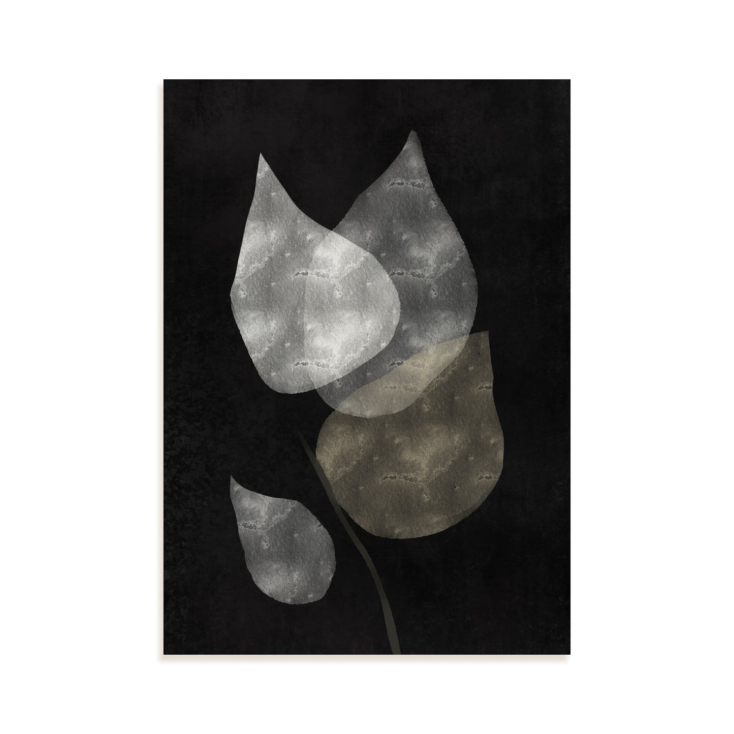 Lamina Nacnic Embarcación de Flores Encantadoras en Abstracto Surtido