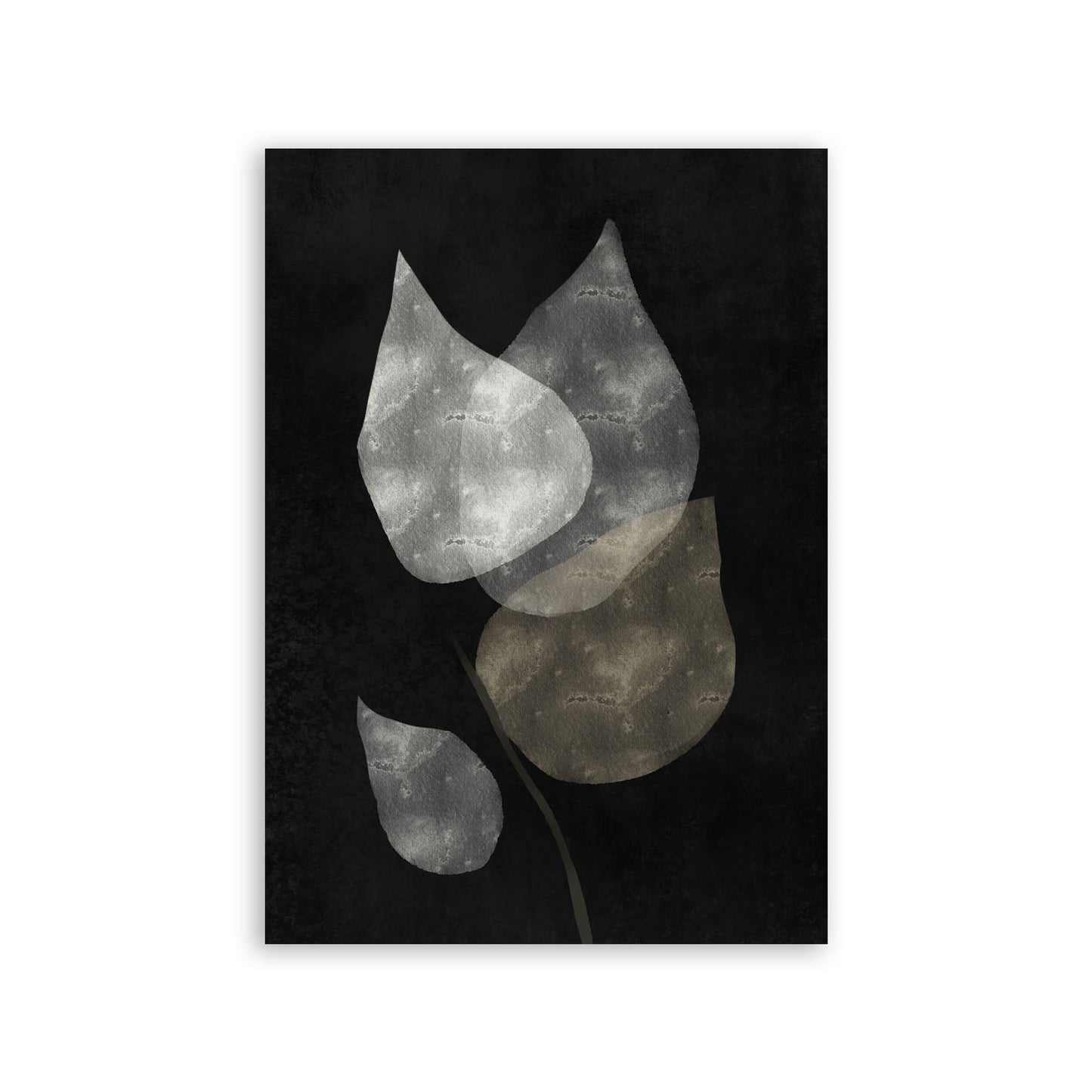 Lamina Nacnic Embarcación de Flores Encantadoras en Abstracto Surtido