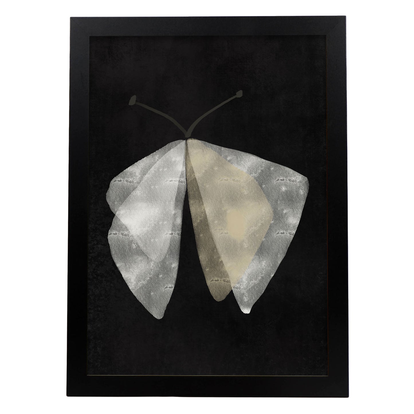 Lamina Abstracta de Mariposa Nacnic