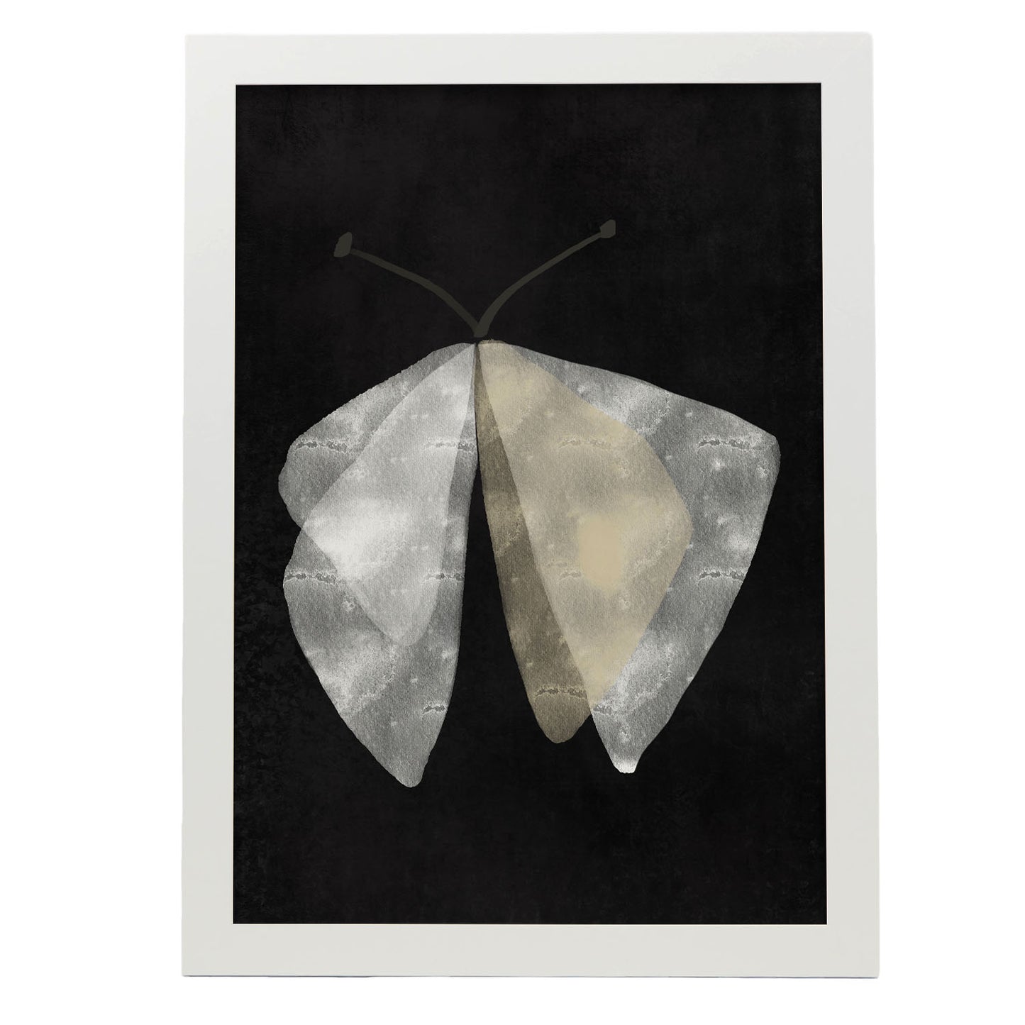 Lamina Abstracta de Mariposa Nacnic