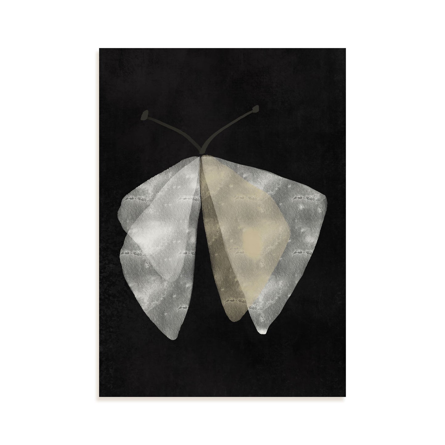 Lamina Abstracta de Mariposa Nacnic