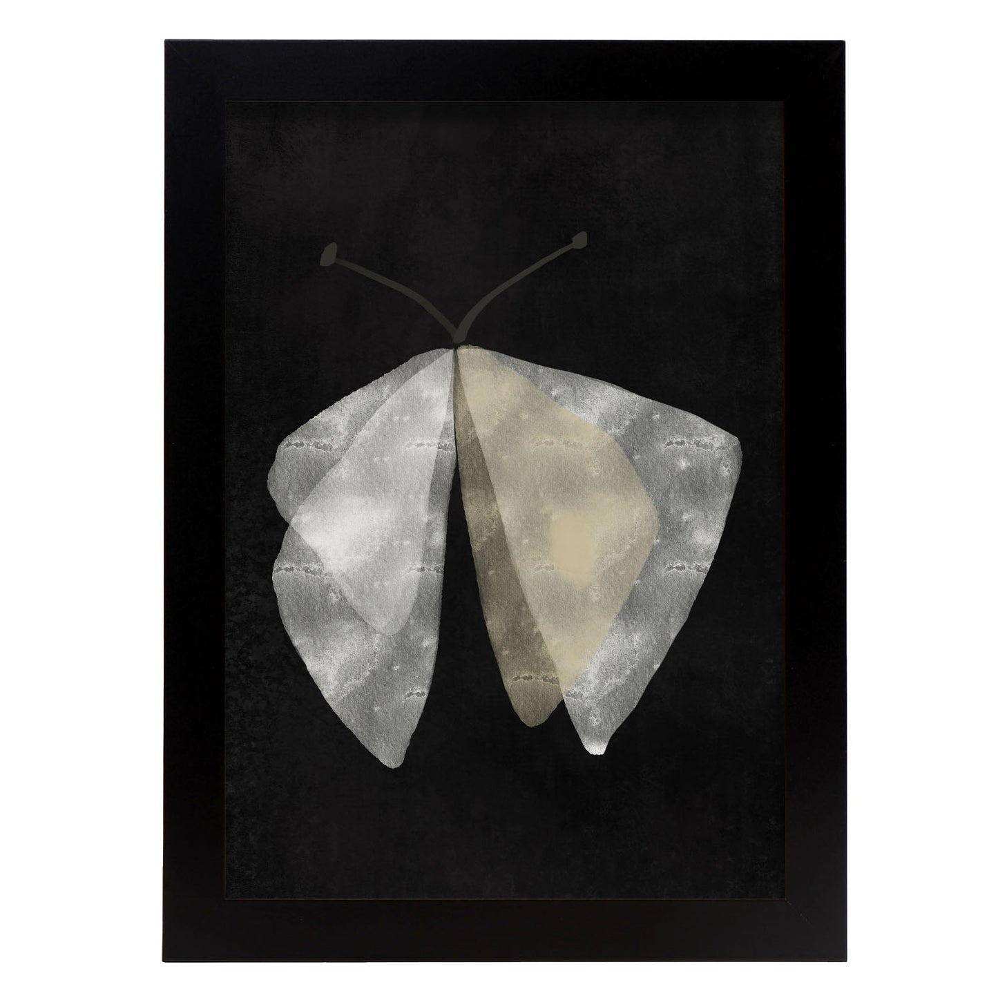Lamina Abstracta de Mariposa Nacnic