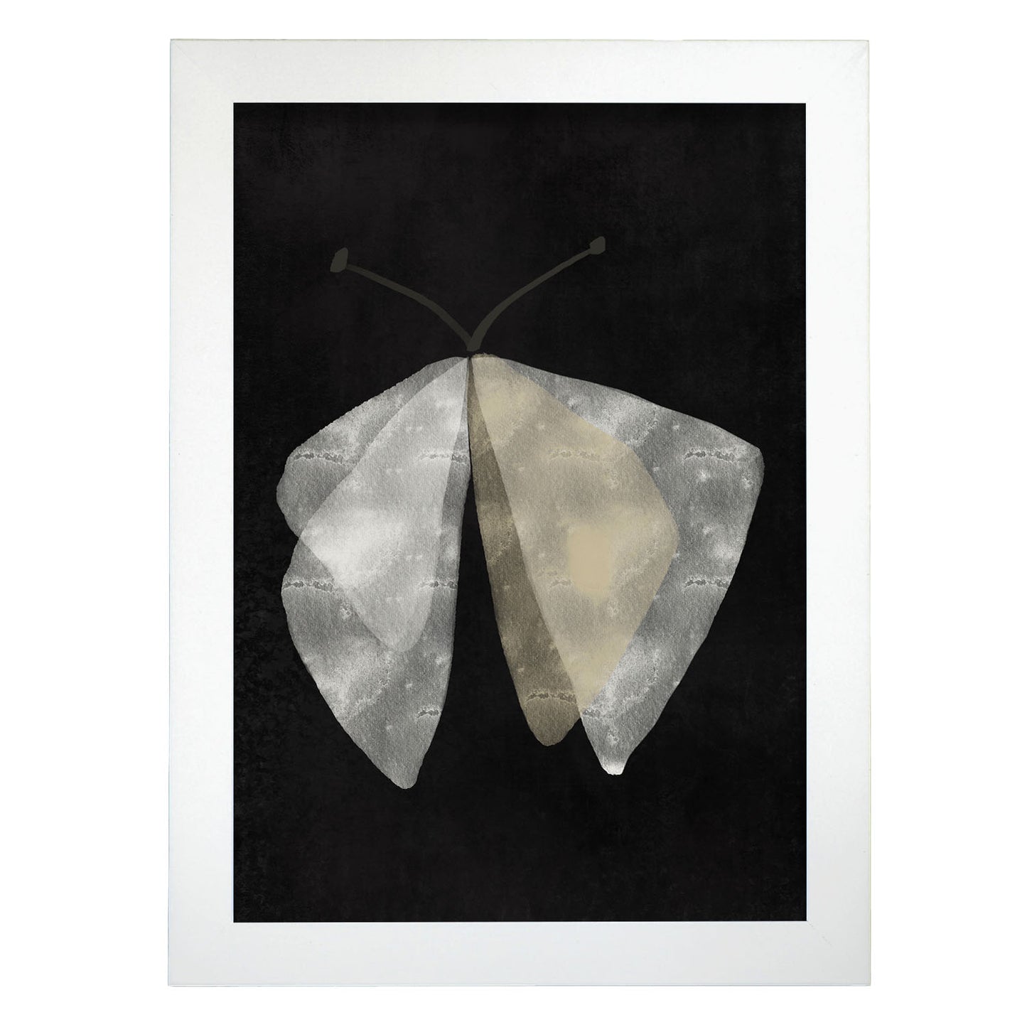 Lamina Abstracta de Mariposa Nacnic